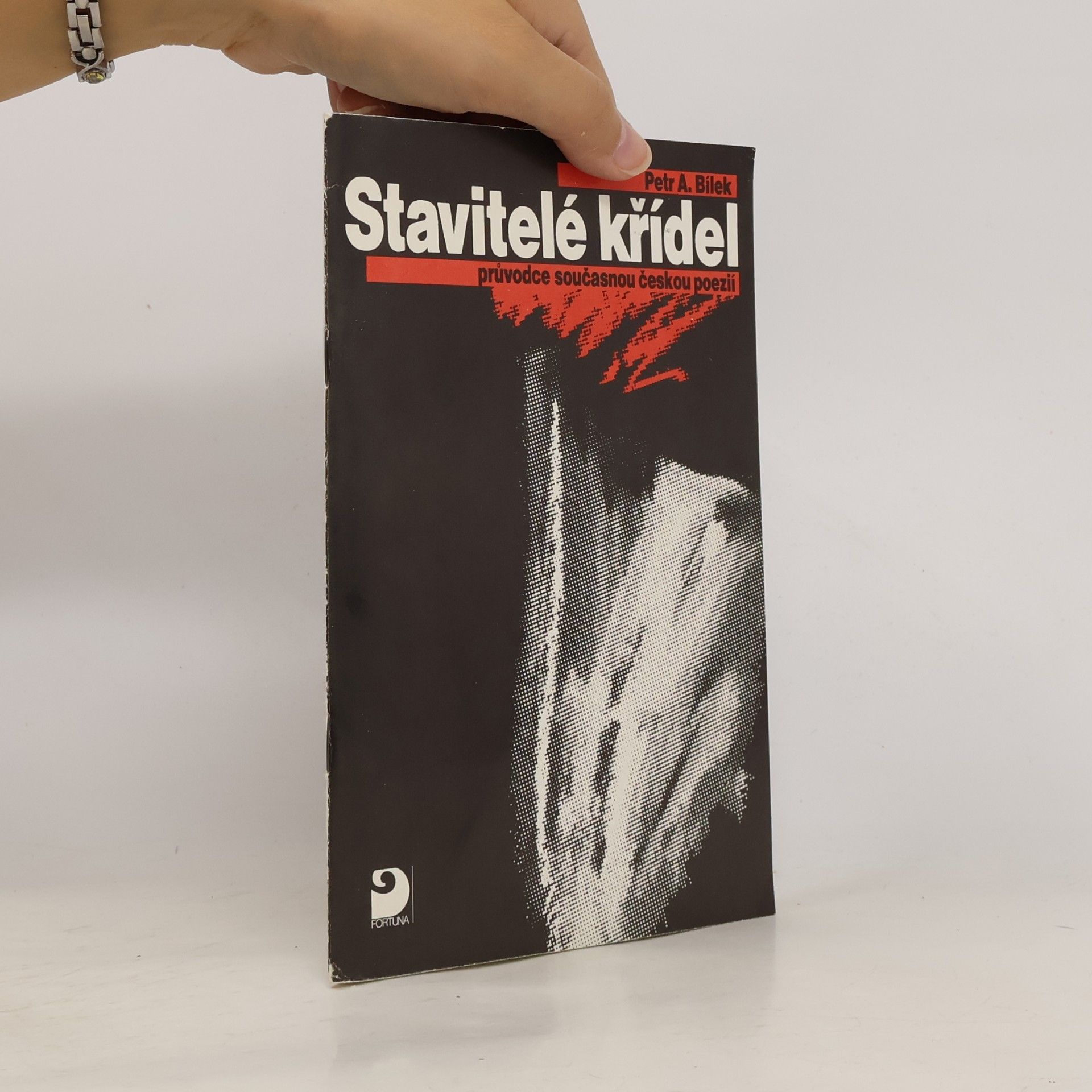 Petr A. Bílek Stavitelé křídel: průvodce současnou českou poezií