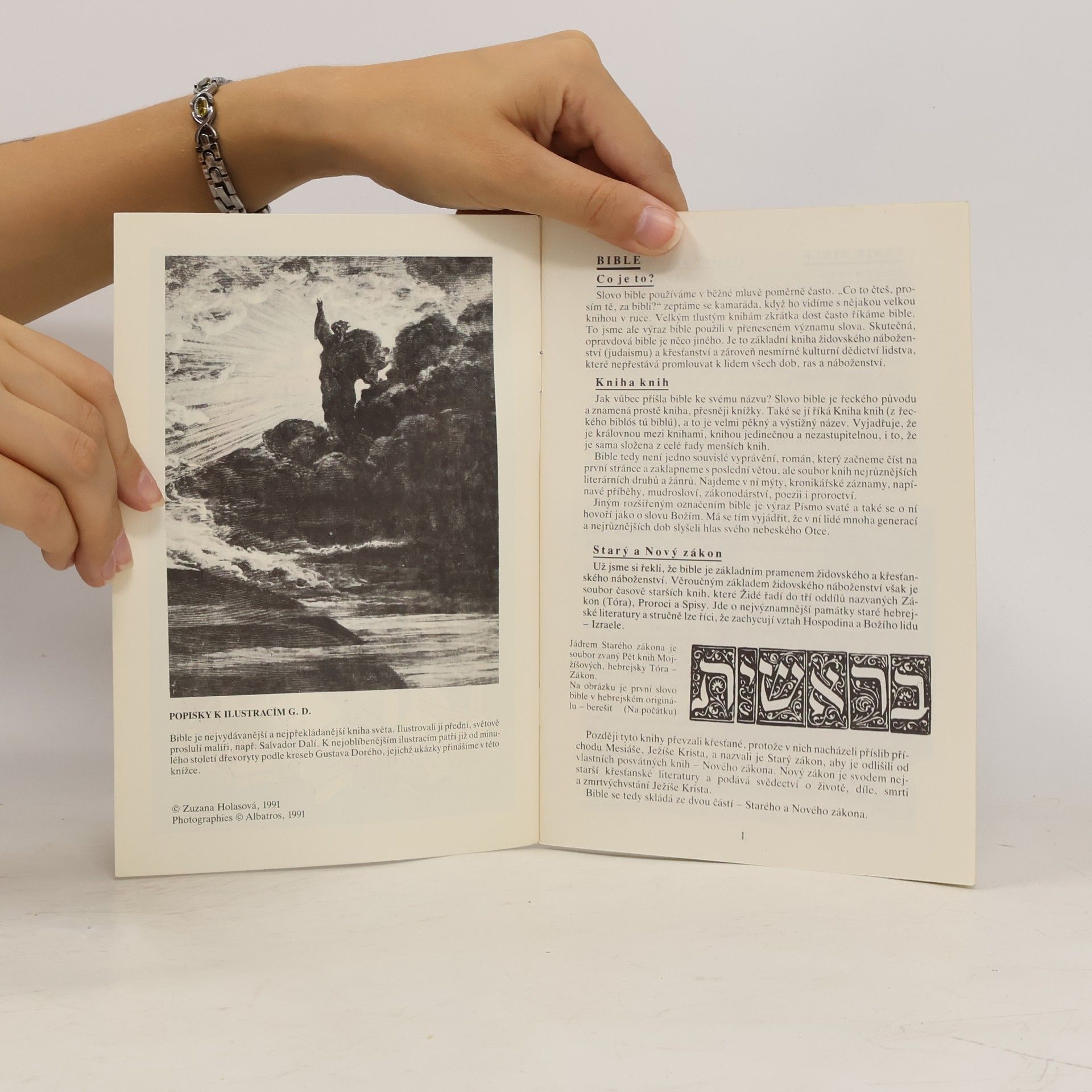 Zuzana Holasová Bible. Kniha knih
