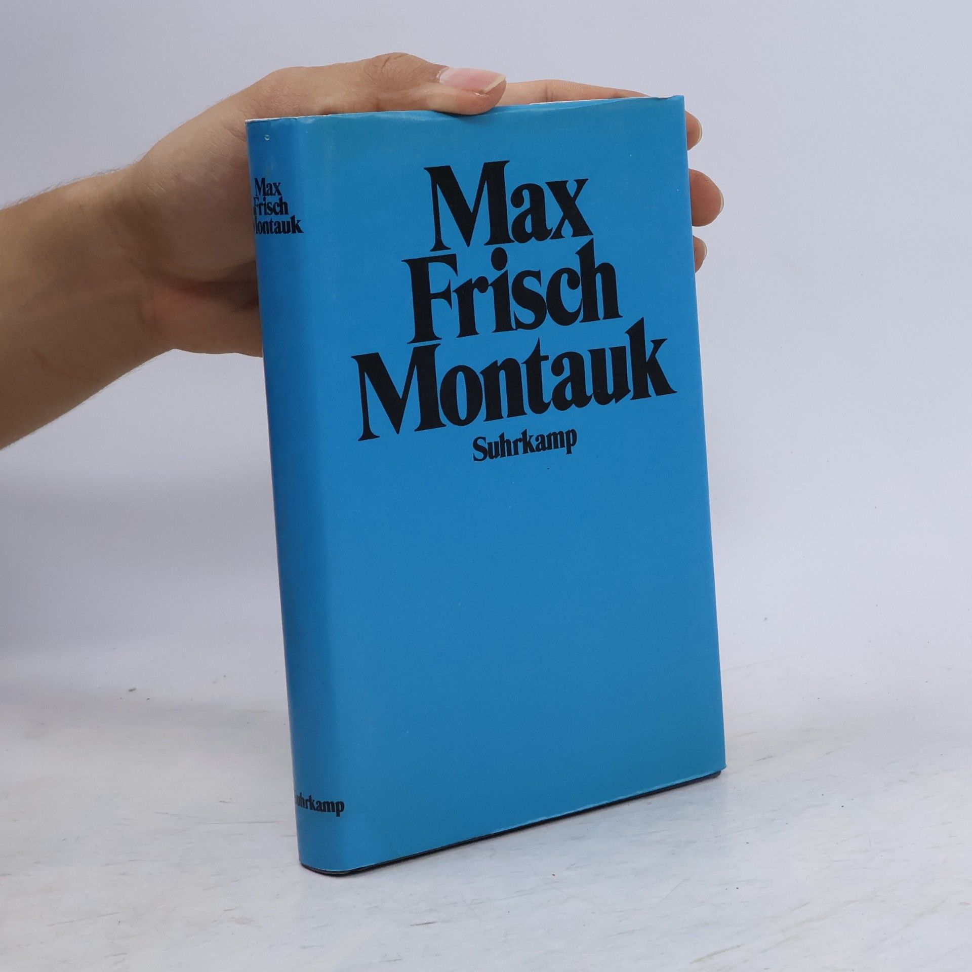 Max Frisch Montauk