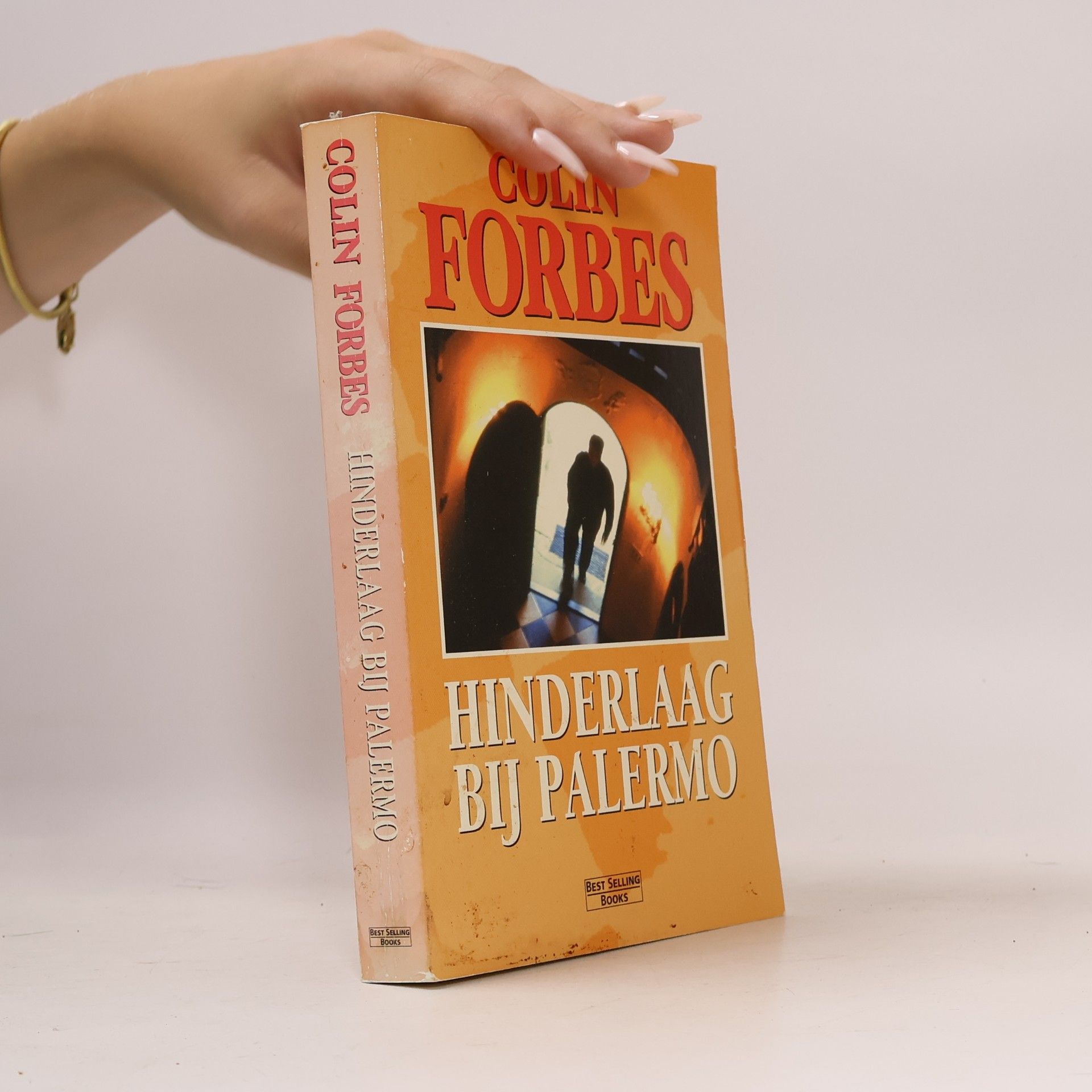 Colin Forbes Hinderlaag bij Palermo