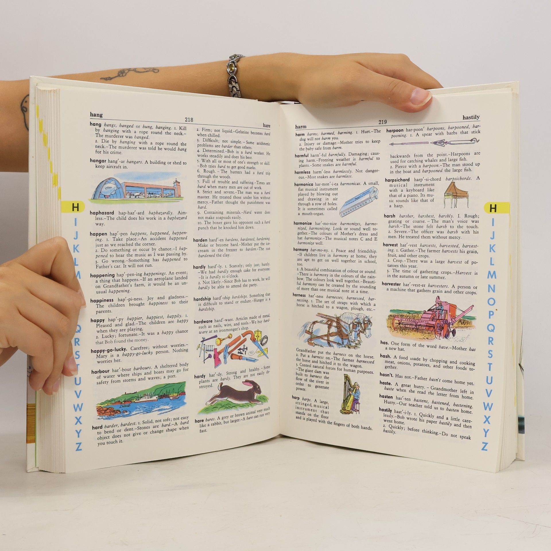 Stuart A. Courtis The Giant All-Colour Dictionary