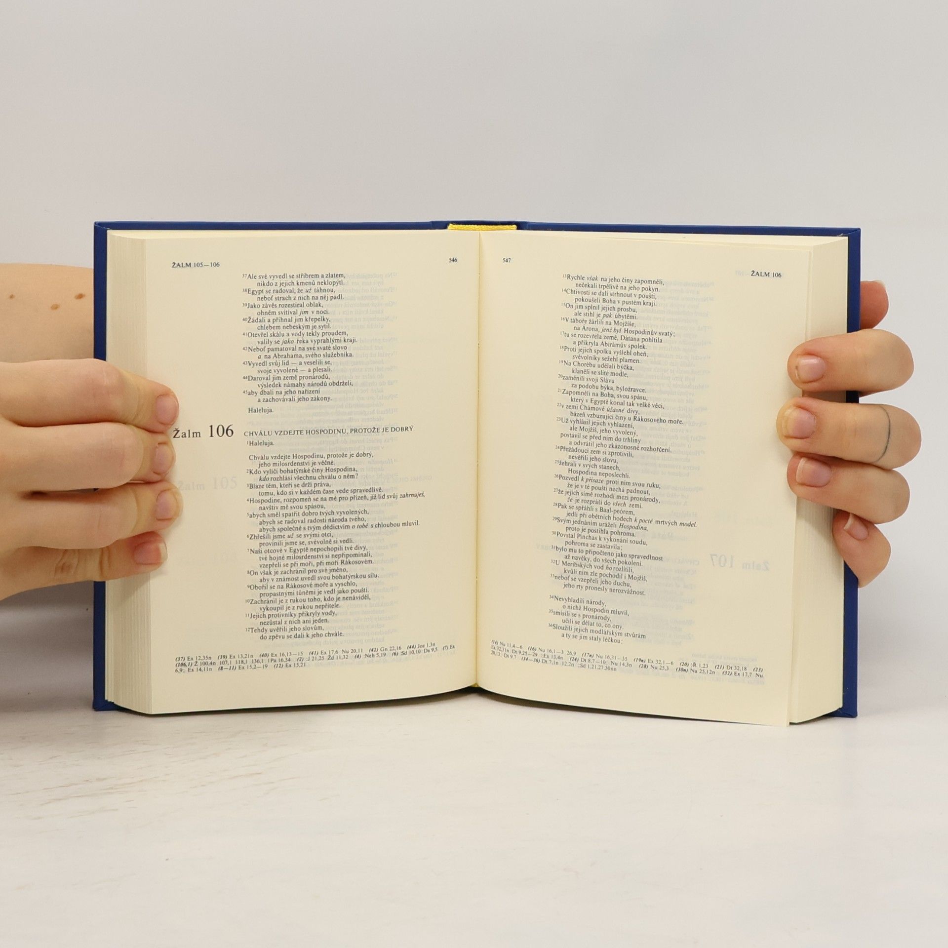 Various authors Bible