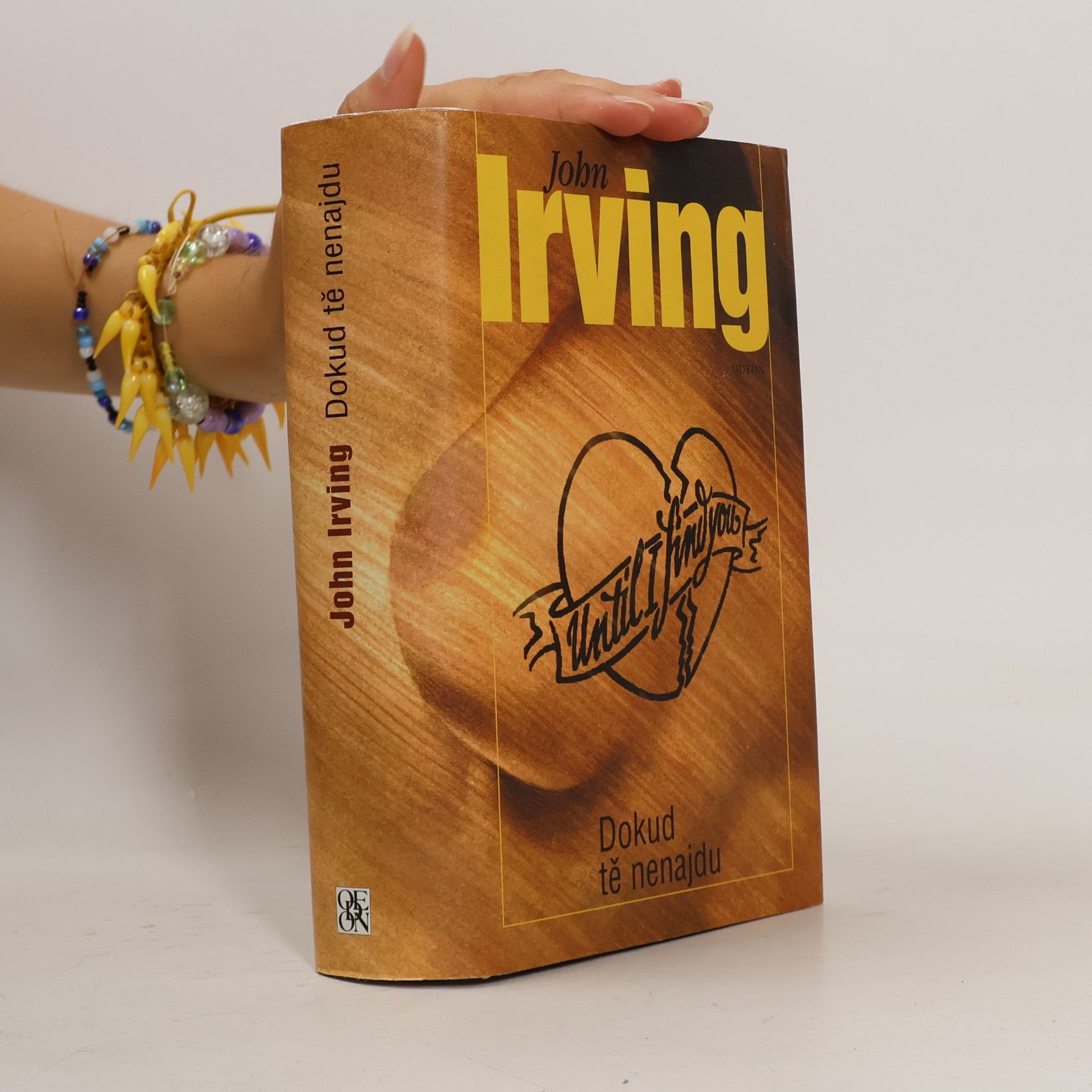John Irving Dokud tě nenajdu