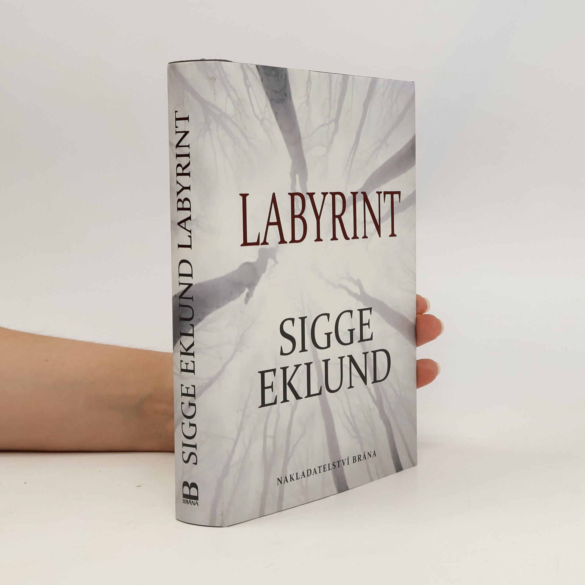 Sigge Eklund Labyrint