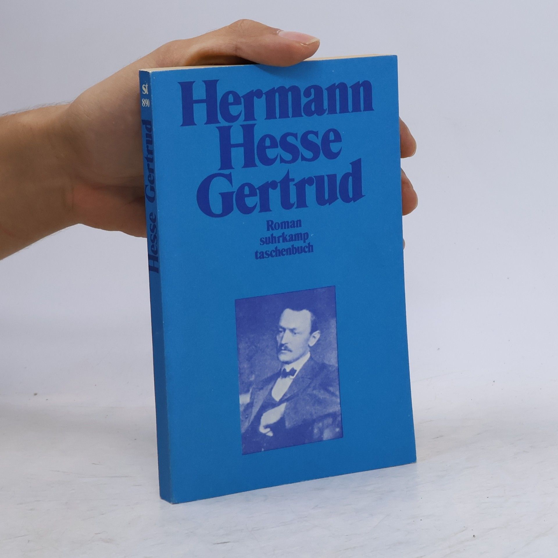 Hermann Hesse Gertrud