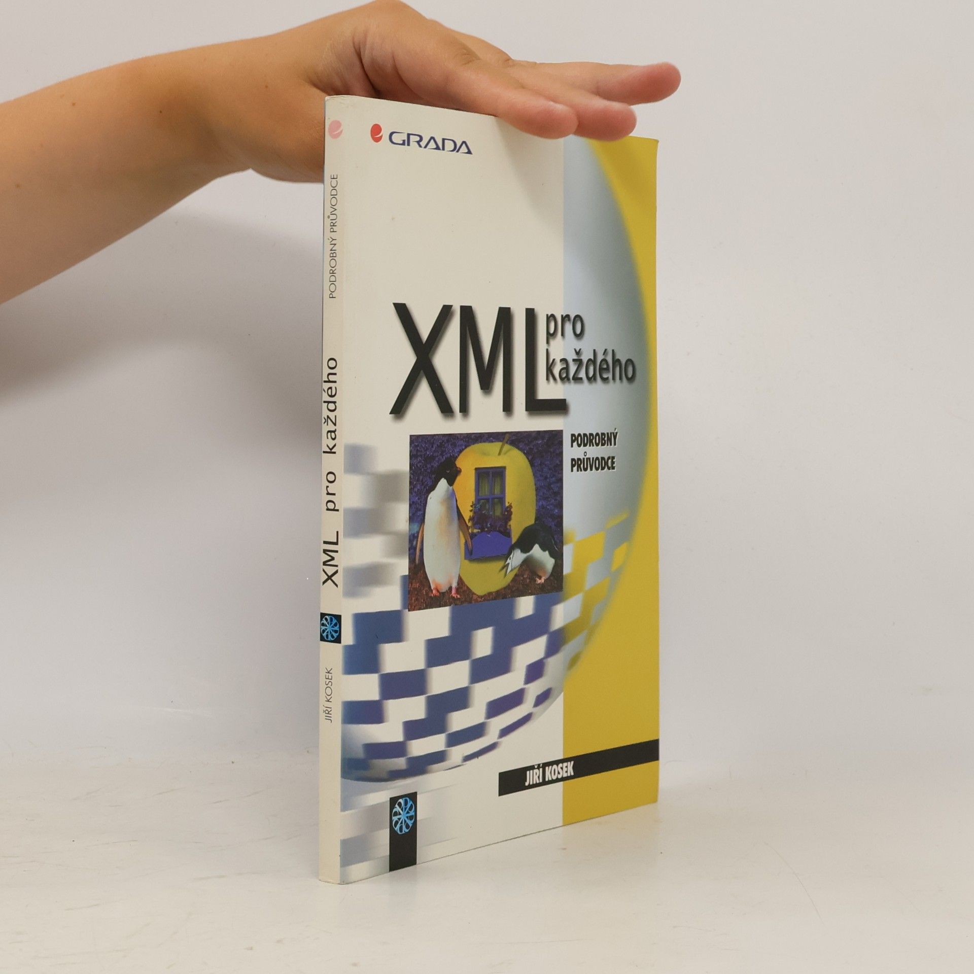 Jiří Kosek XML pro každého: Podrobný průvodce