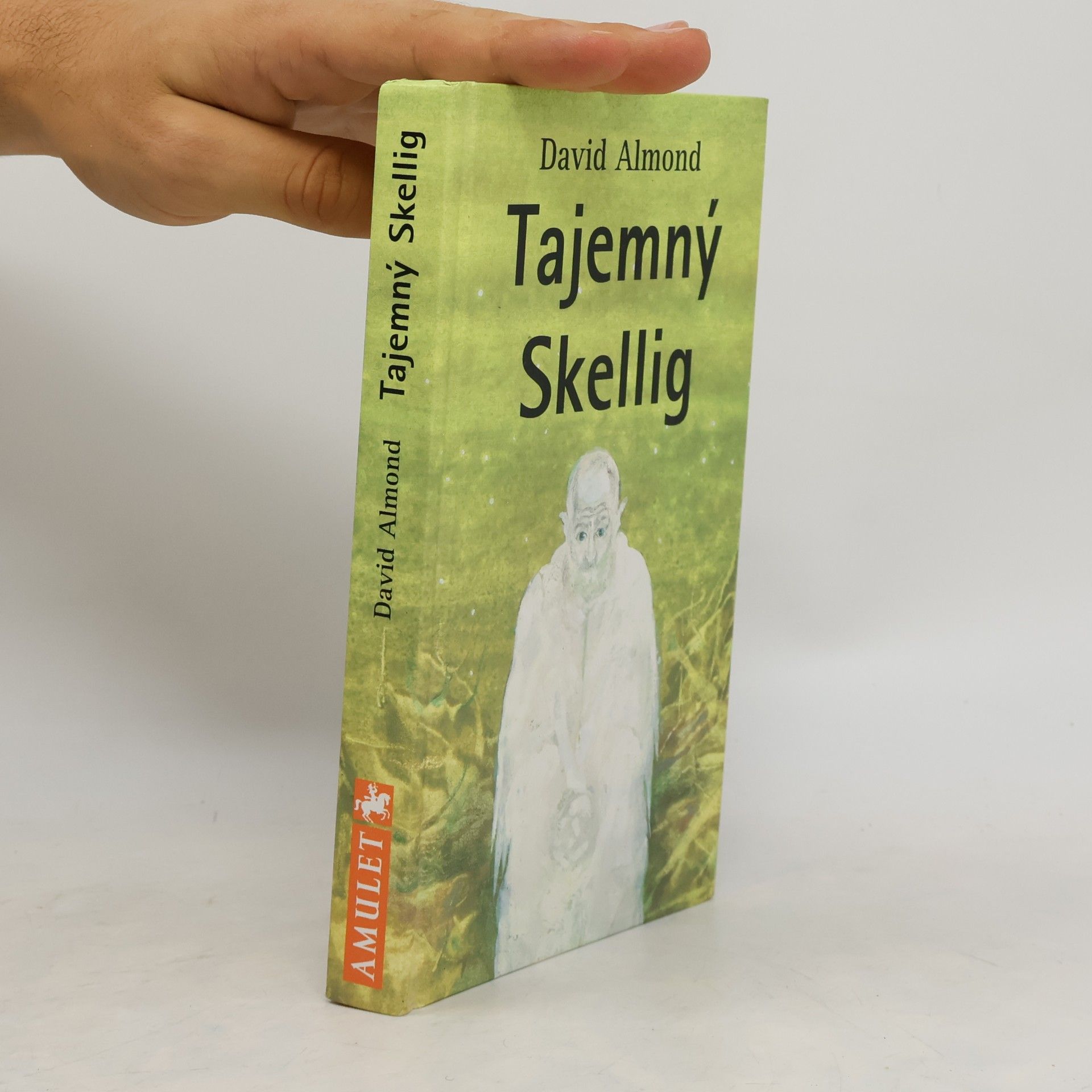 David Almond Tajemný Skellig