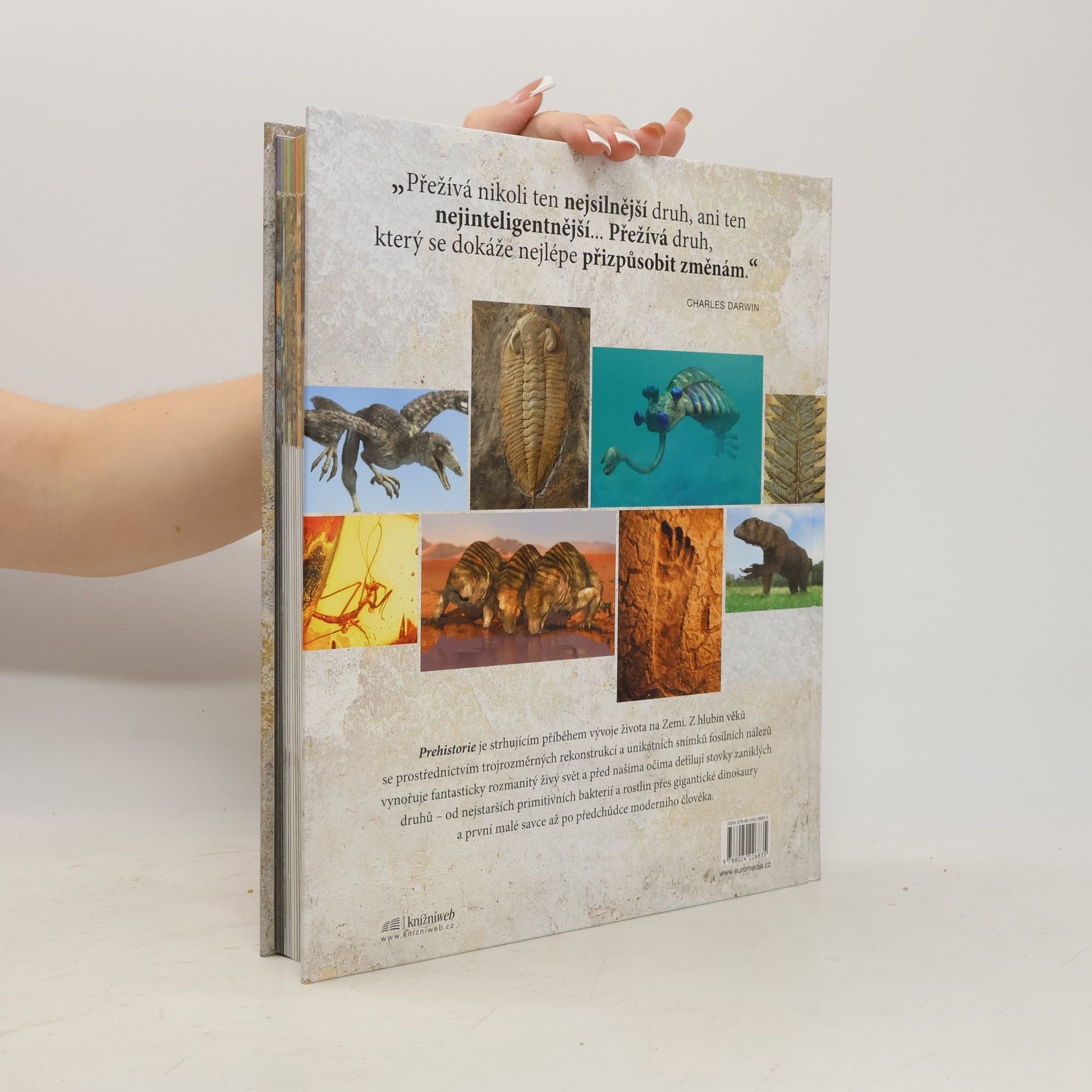 Douglas Palmer Prehistorie