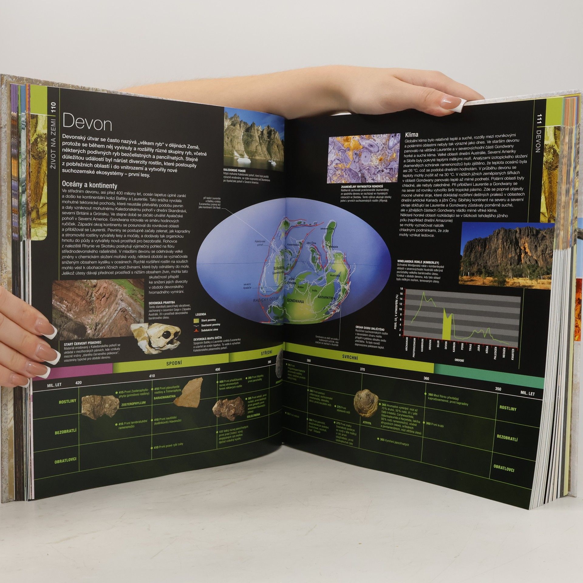 Douglas Palmer Prehistorie