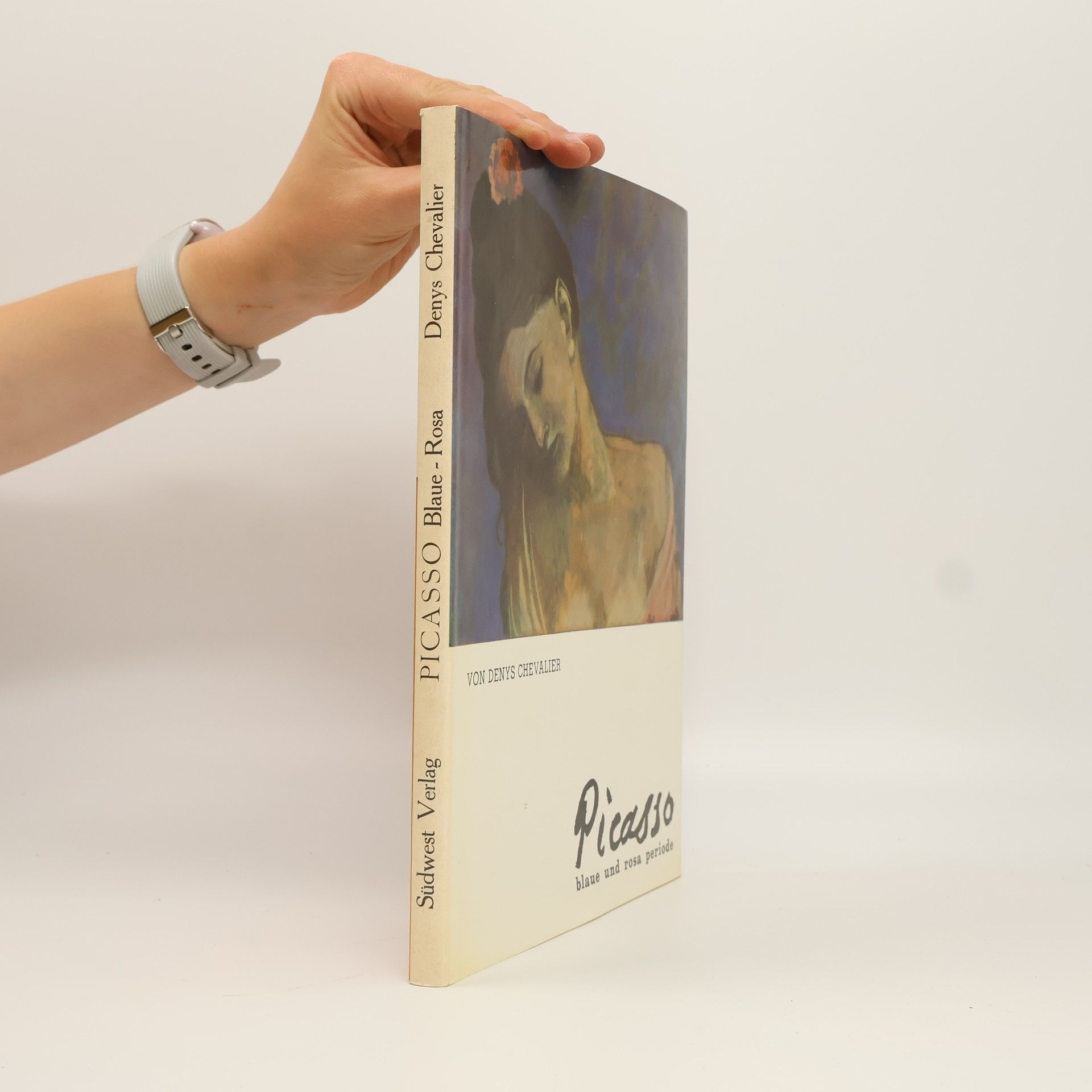 Denis Chevalier Picasso blaue und rosa Periode
