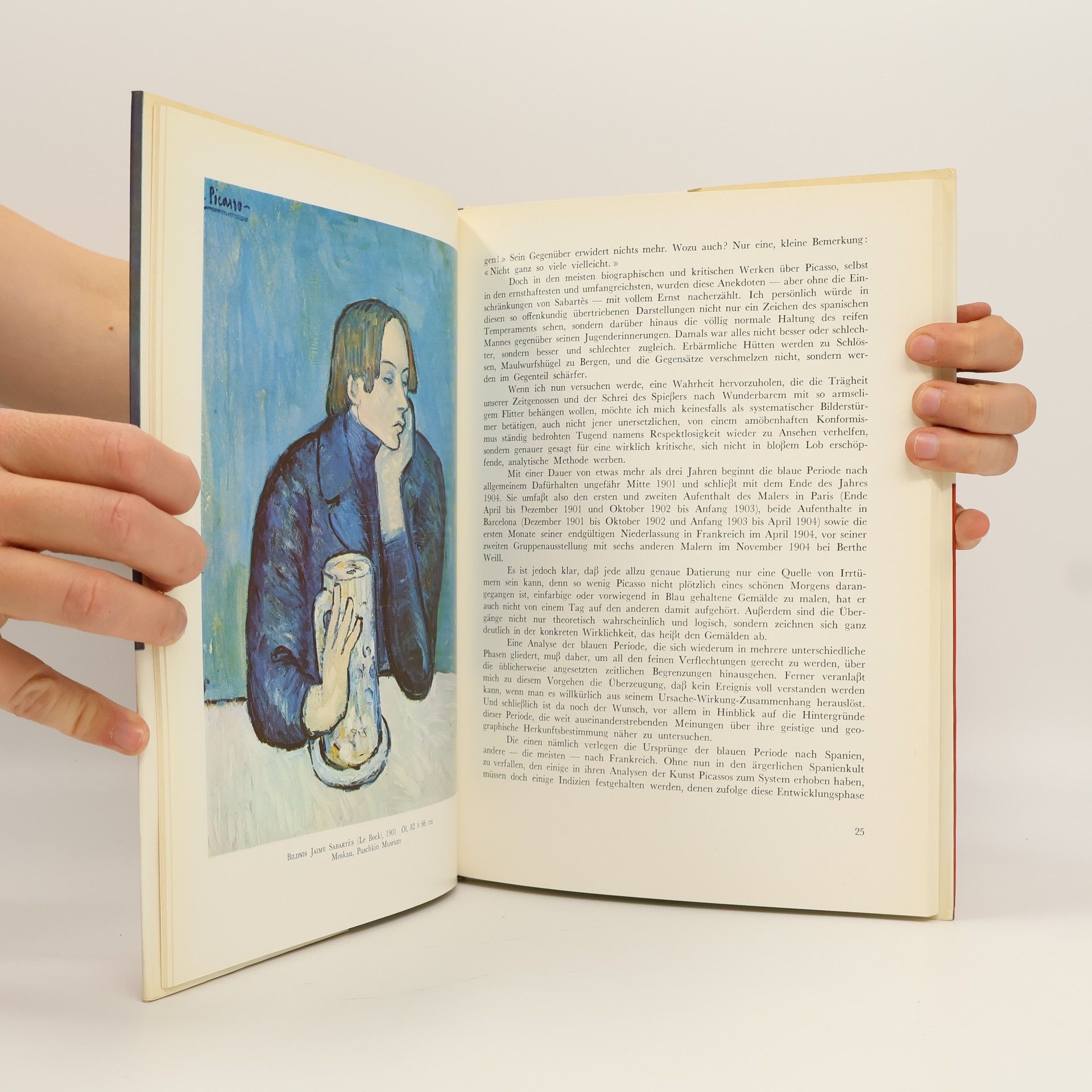 Denis Chevalier Picasso blaue und rosa Periode