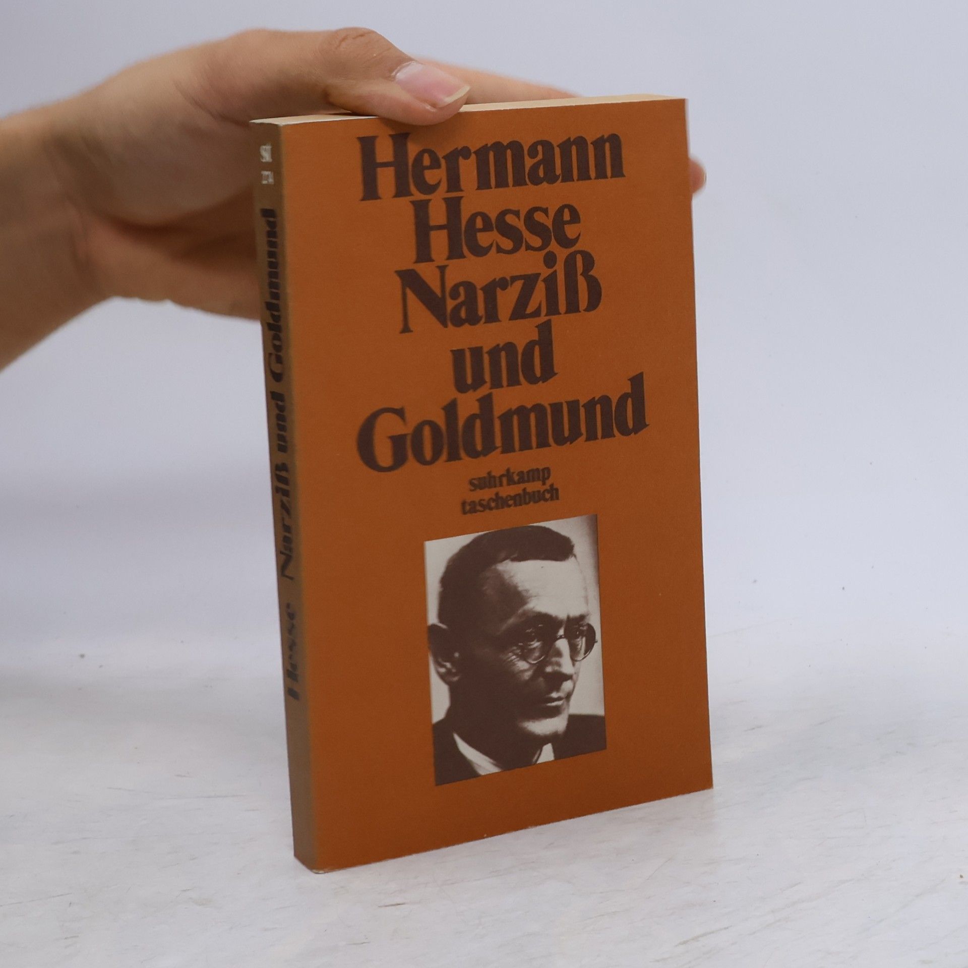 Hermann Hesse Narziß und Goldmund