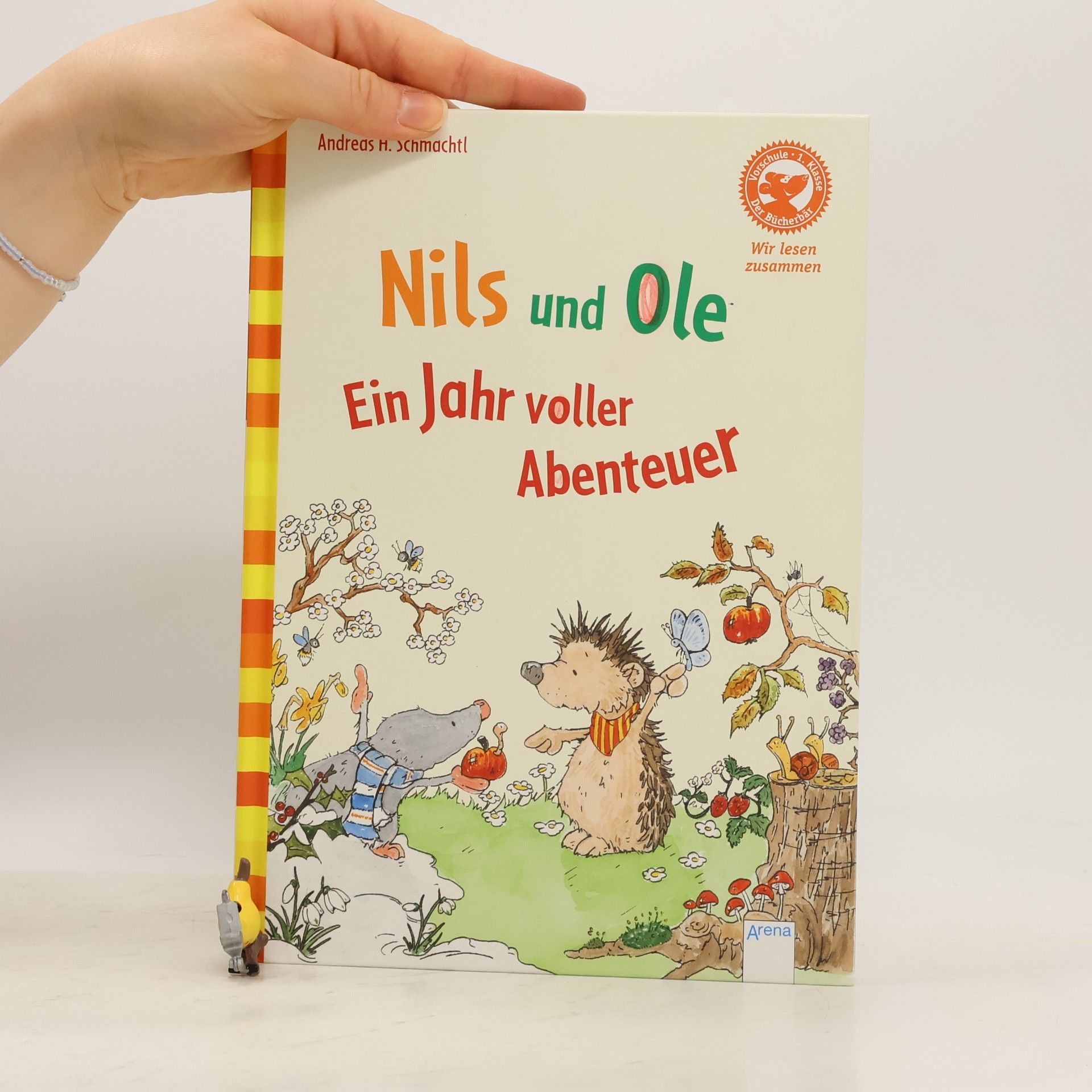 Andreas H. Schmachtl Nils und Ole. Ein Jahr voller Abenteuer