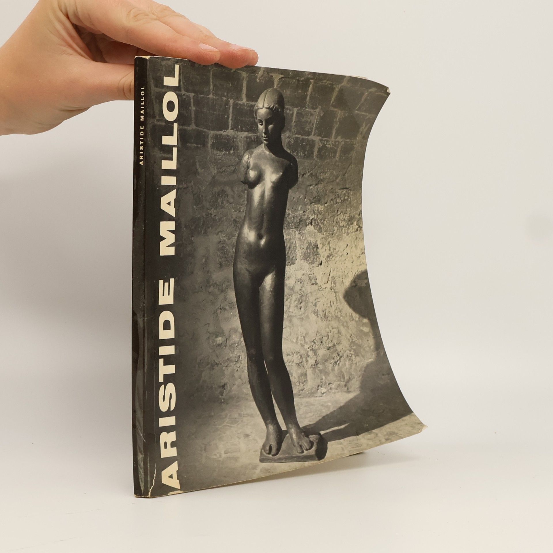 Collectif d'auteurs Aristide Maillol