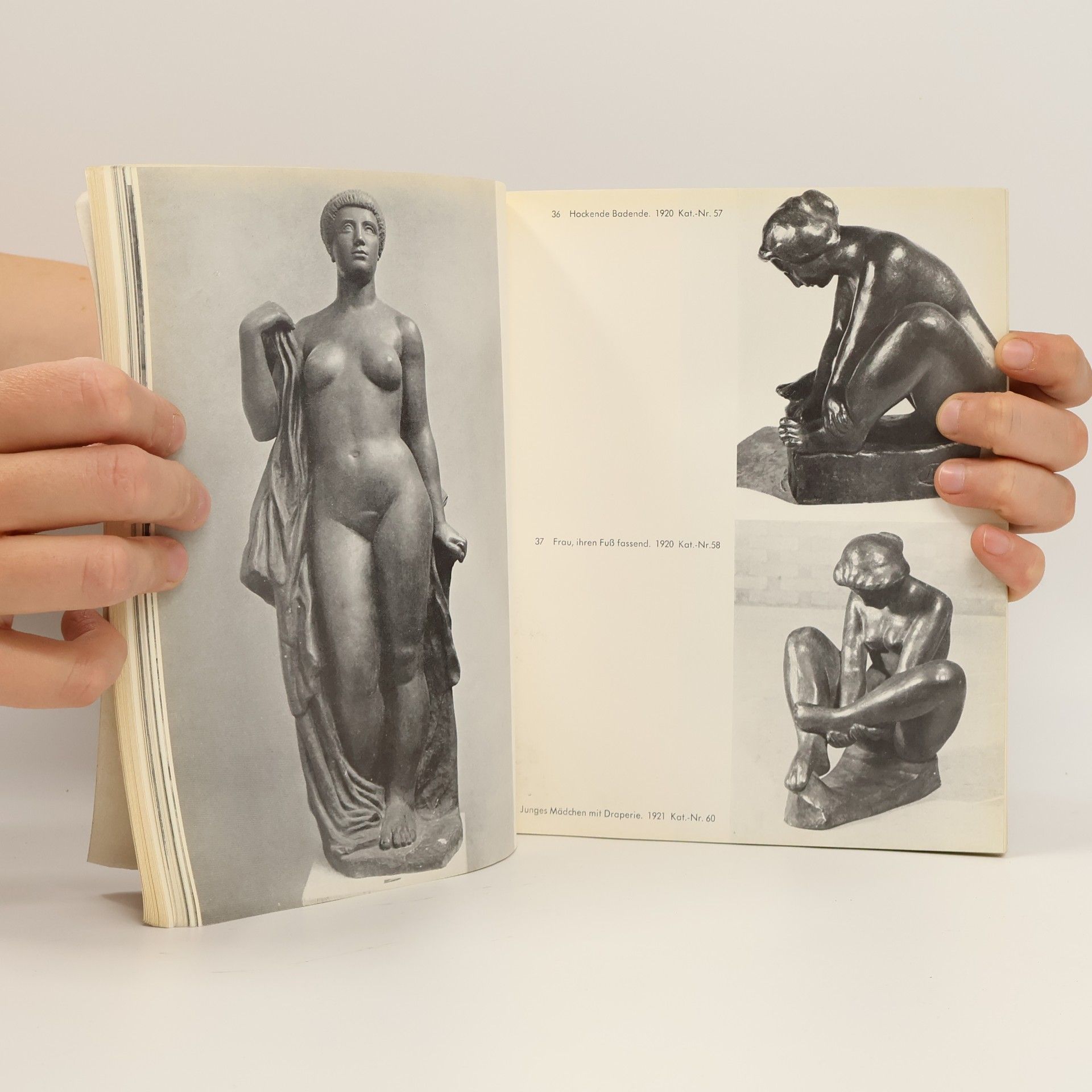 Collectif d'auteurs Aristide Maillol