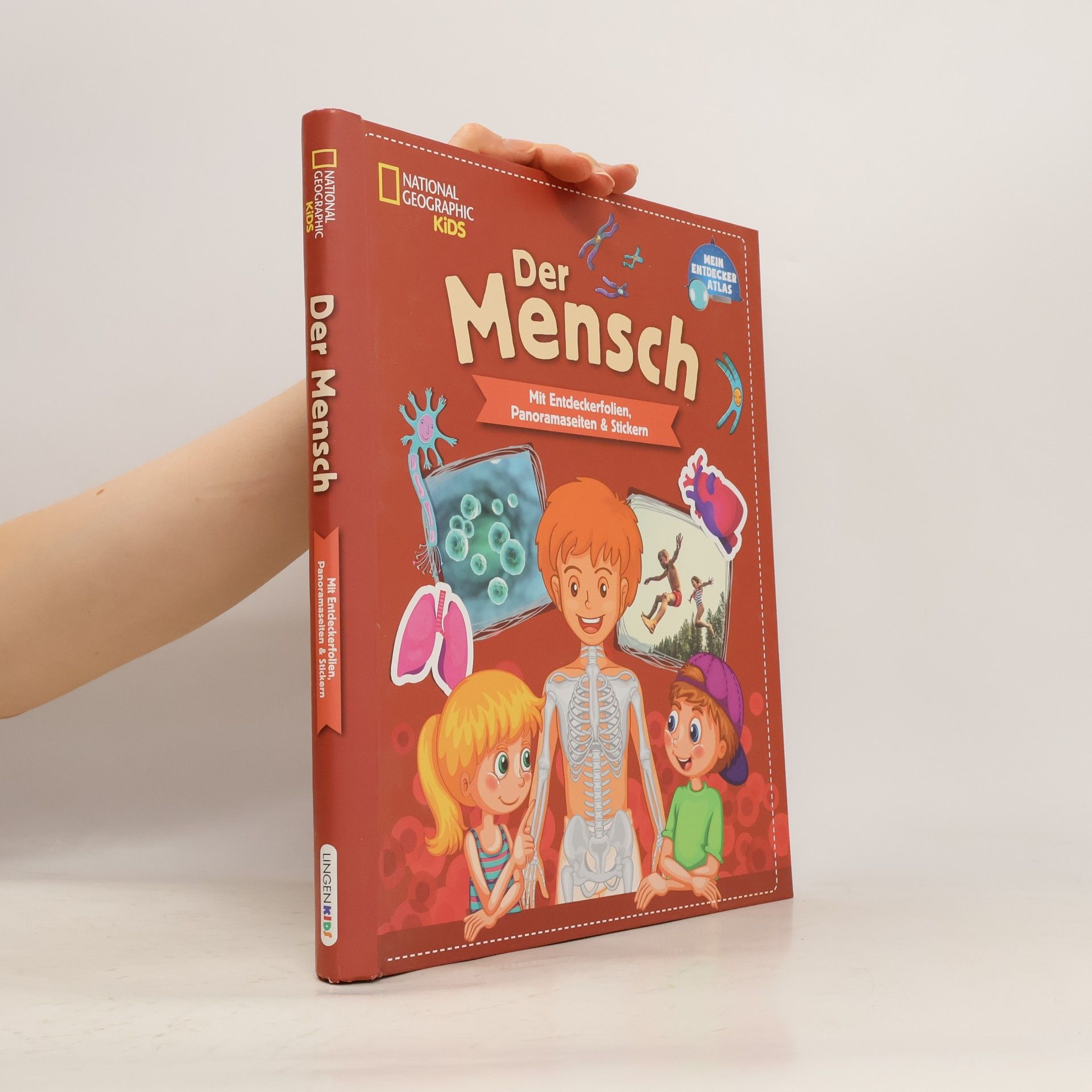 Autorenkollektiv Der Mensch
