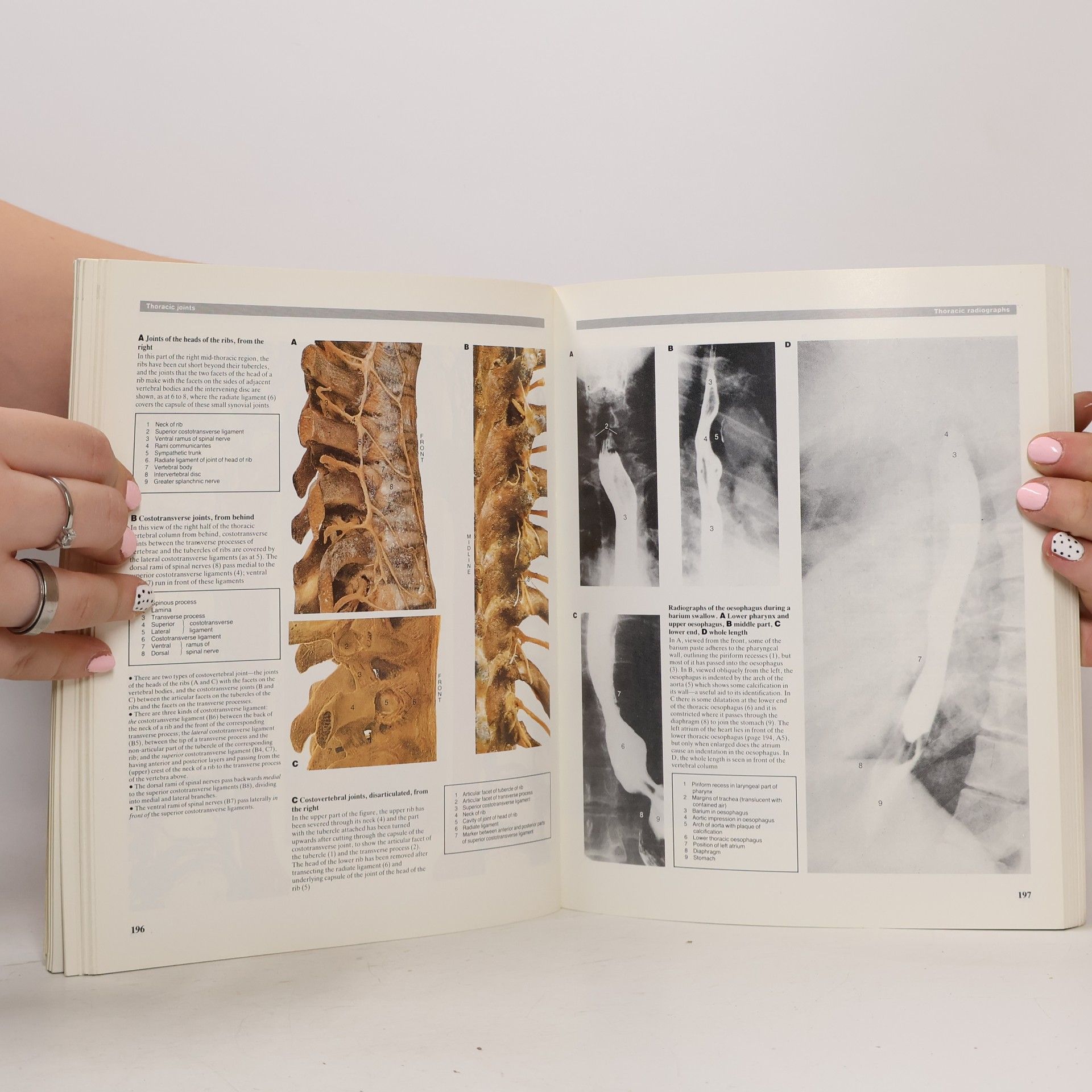 R.M.H. McMinn A Colour Atlas of Human Anatomy