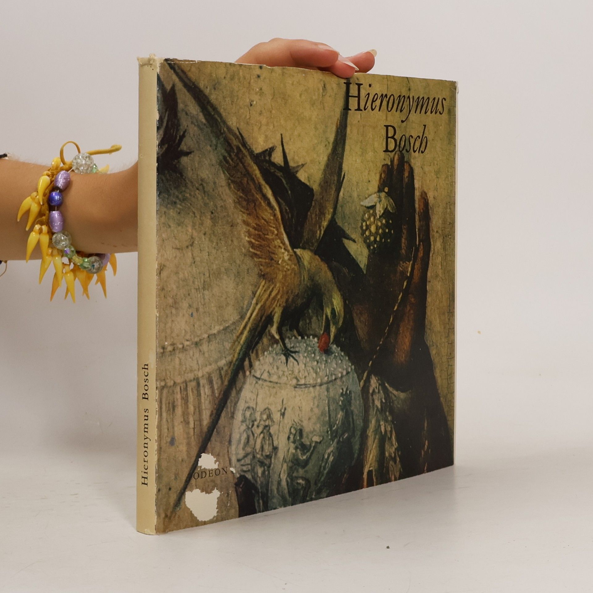Hana Volavková Hieronymus Bosch