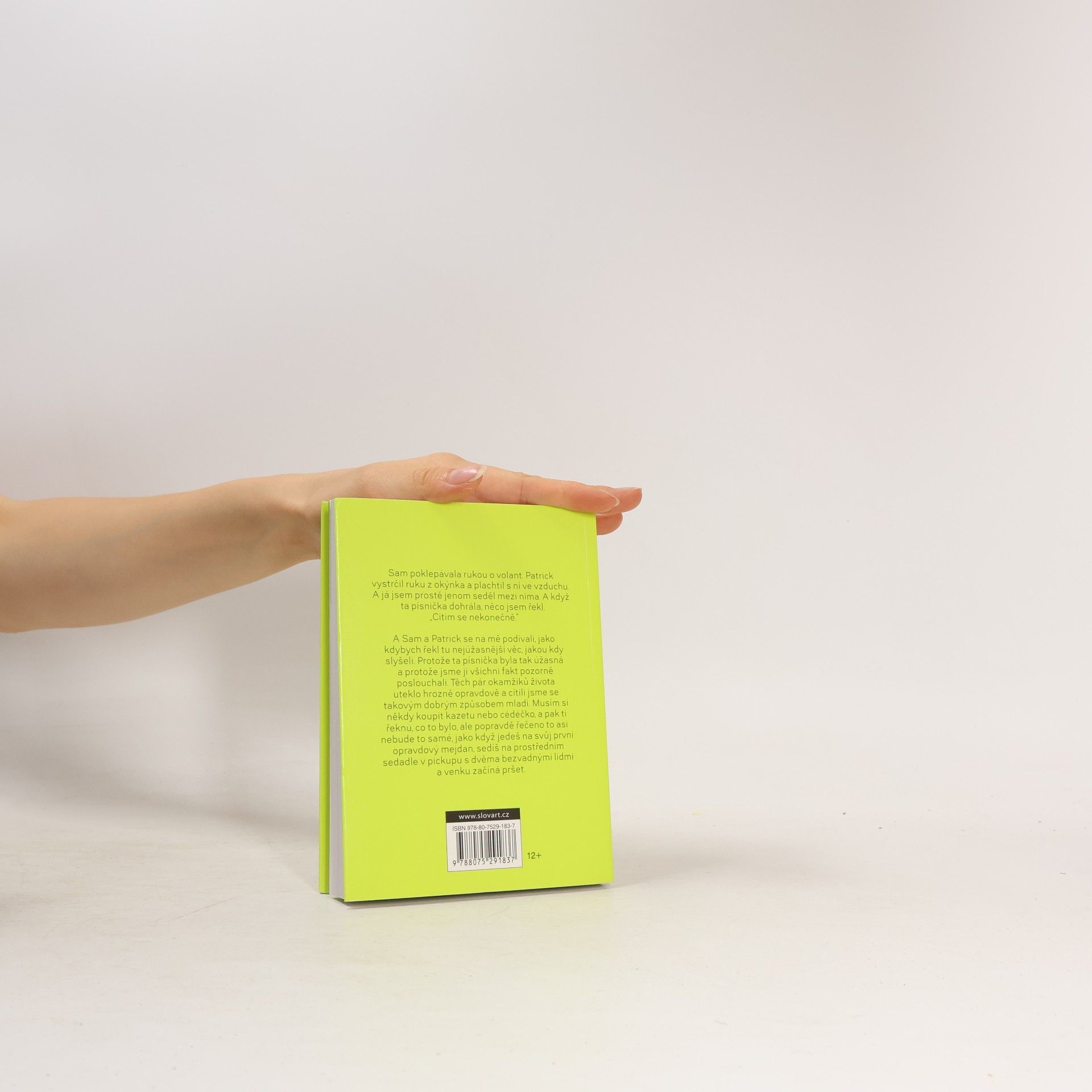 Stephen Chbosky Ten, kdo stojí v koutě