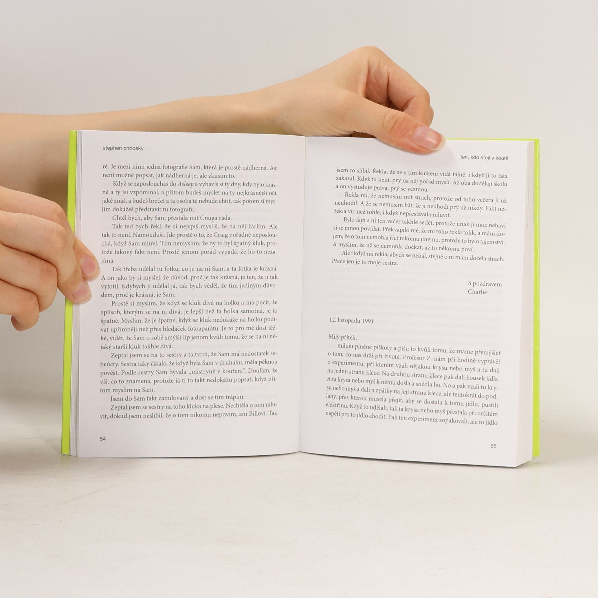 Stephen Chbosky Ten, kdo stojí v koutě