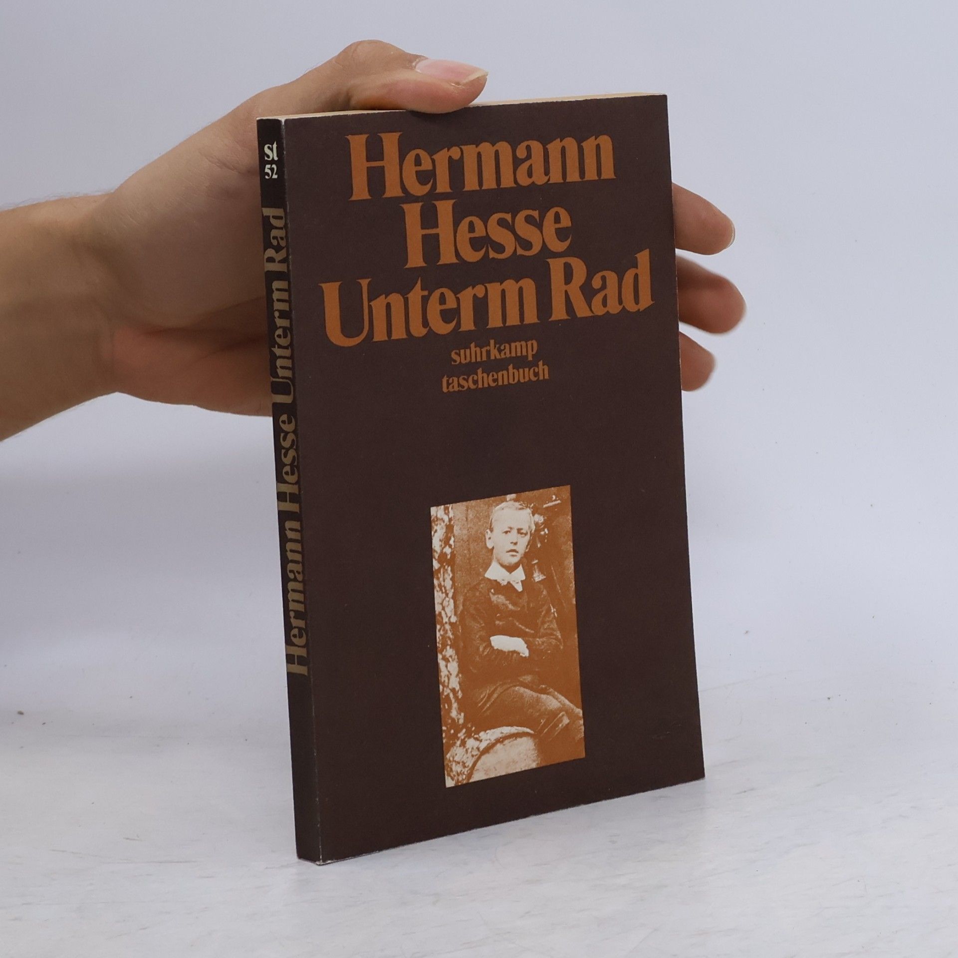 Hermann Hesse Unterm Rad