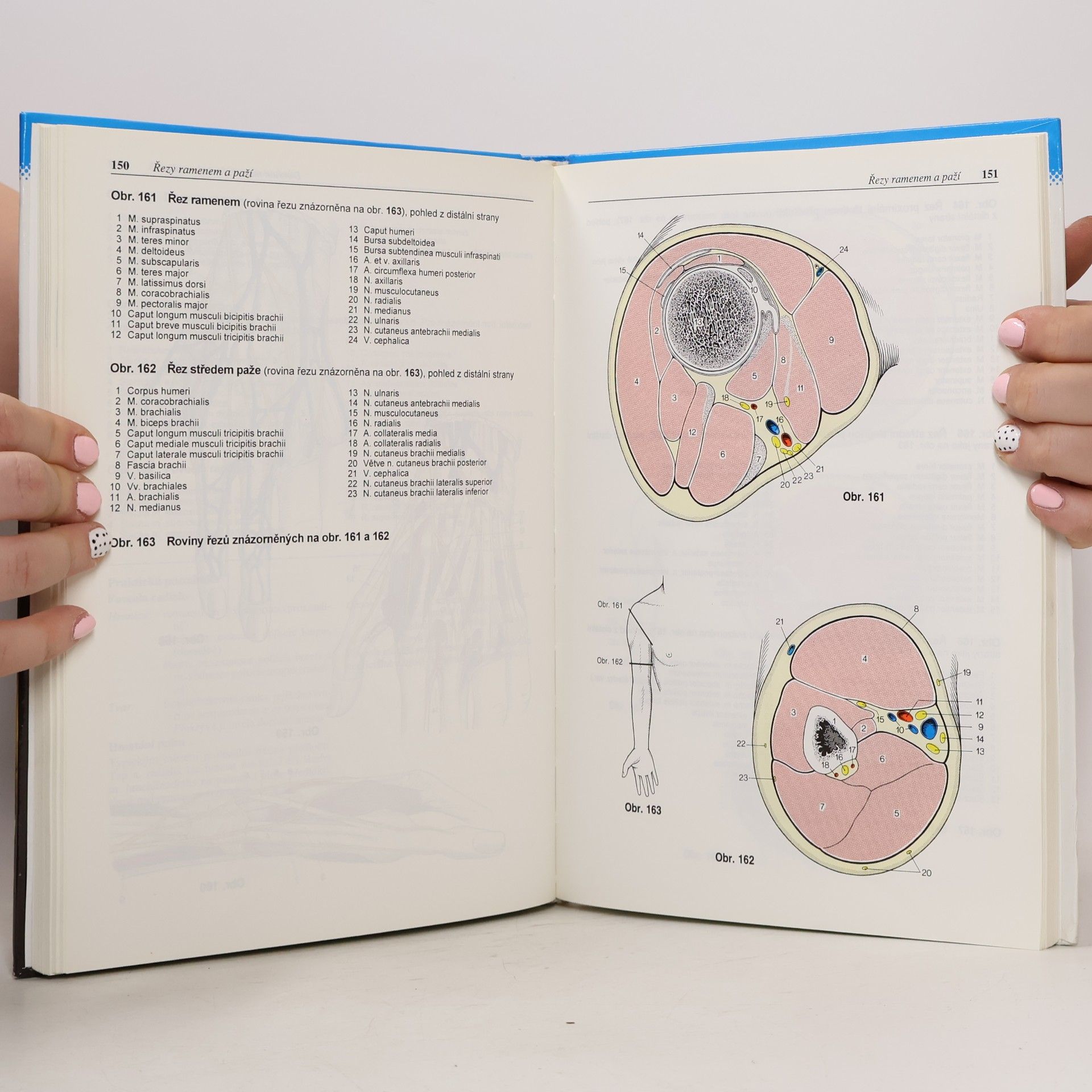 Gerhard Spitzer Atlas topografické anatomie