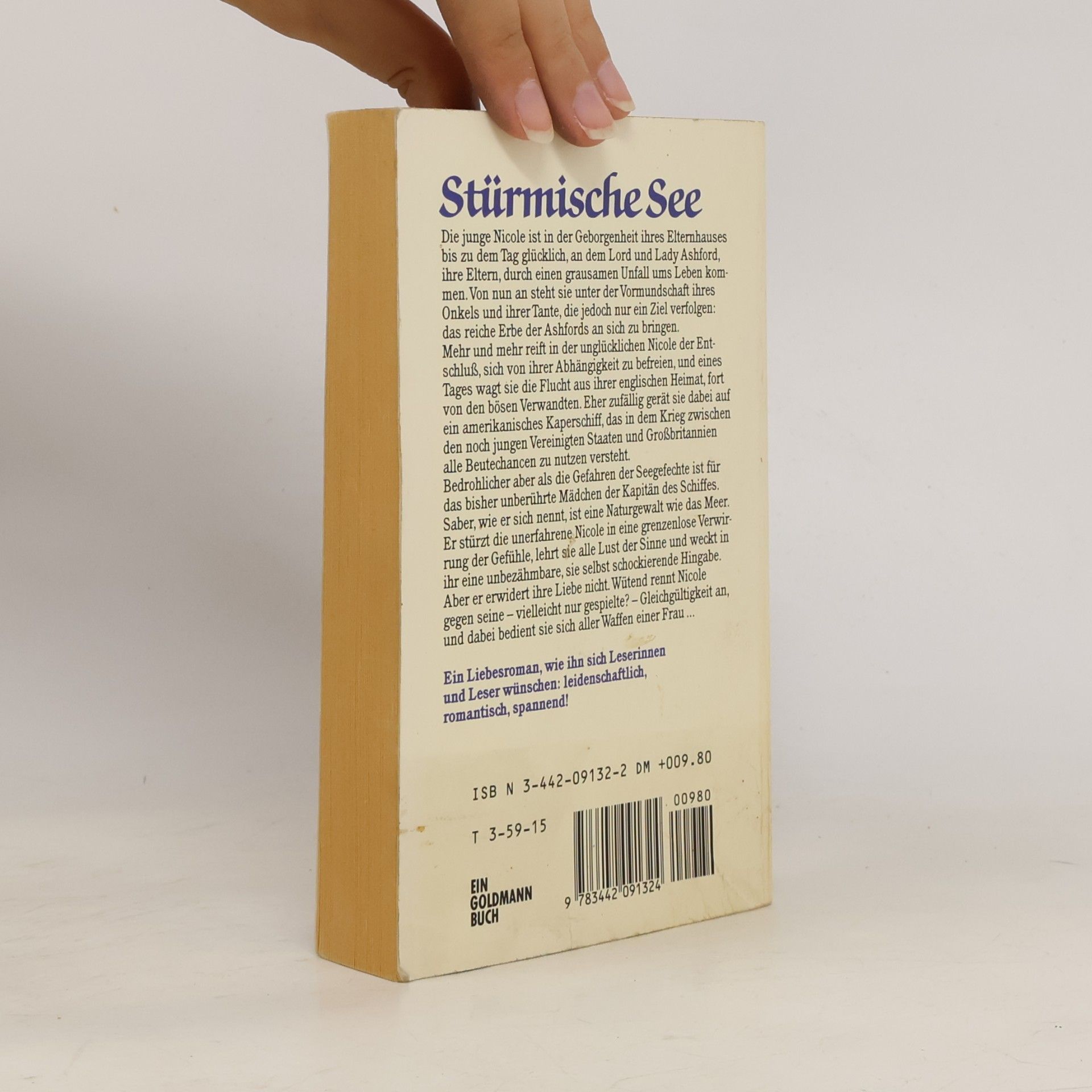 Shirlee Busbee Stürmische See