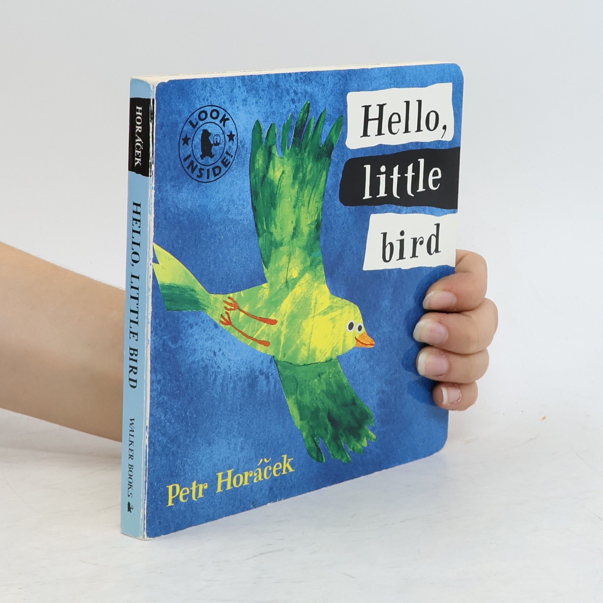 Petr Horáček Hello, little bird