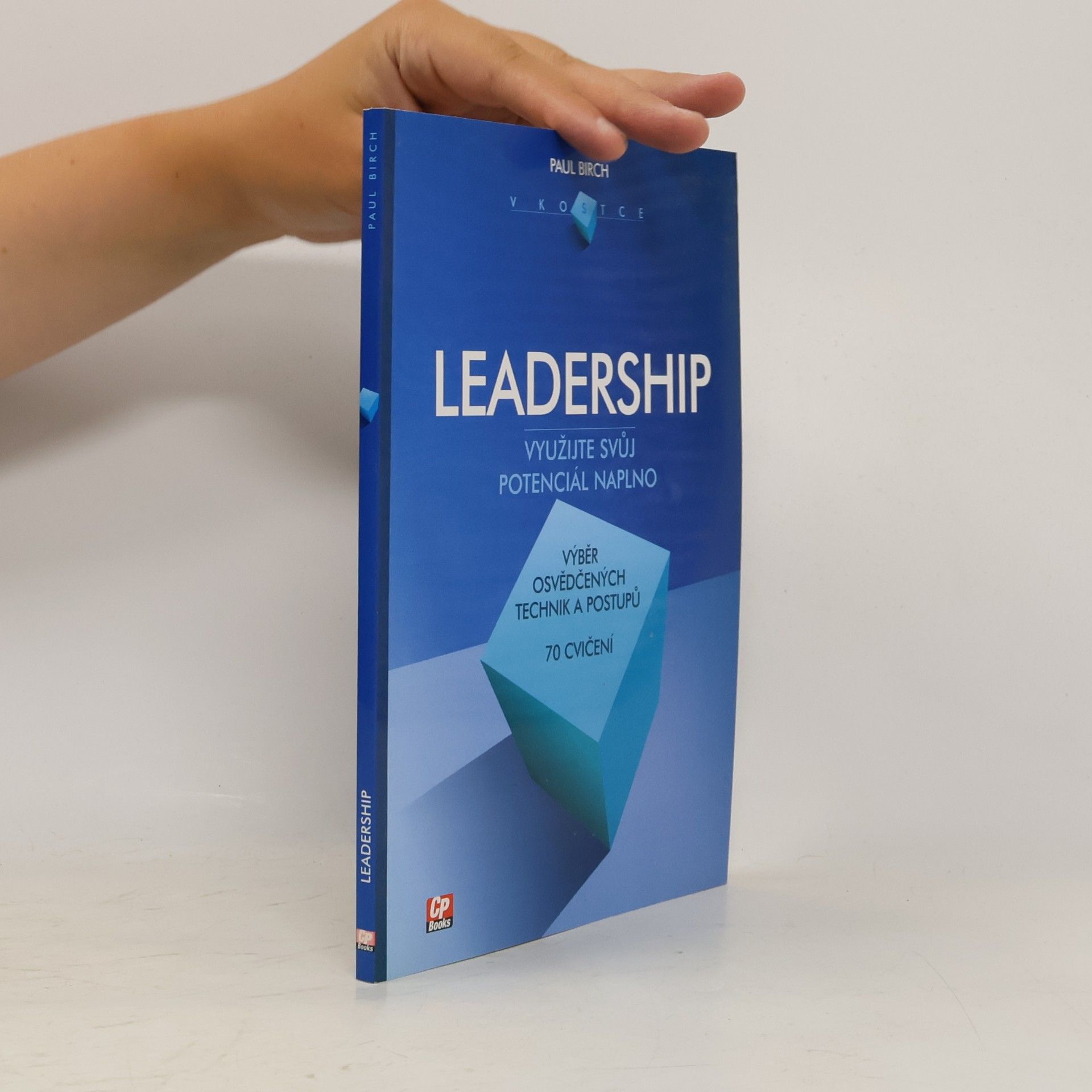 Paul Birch Leadership v kostce