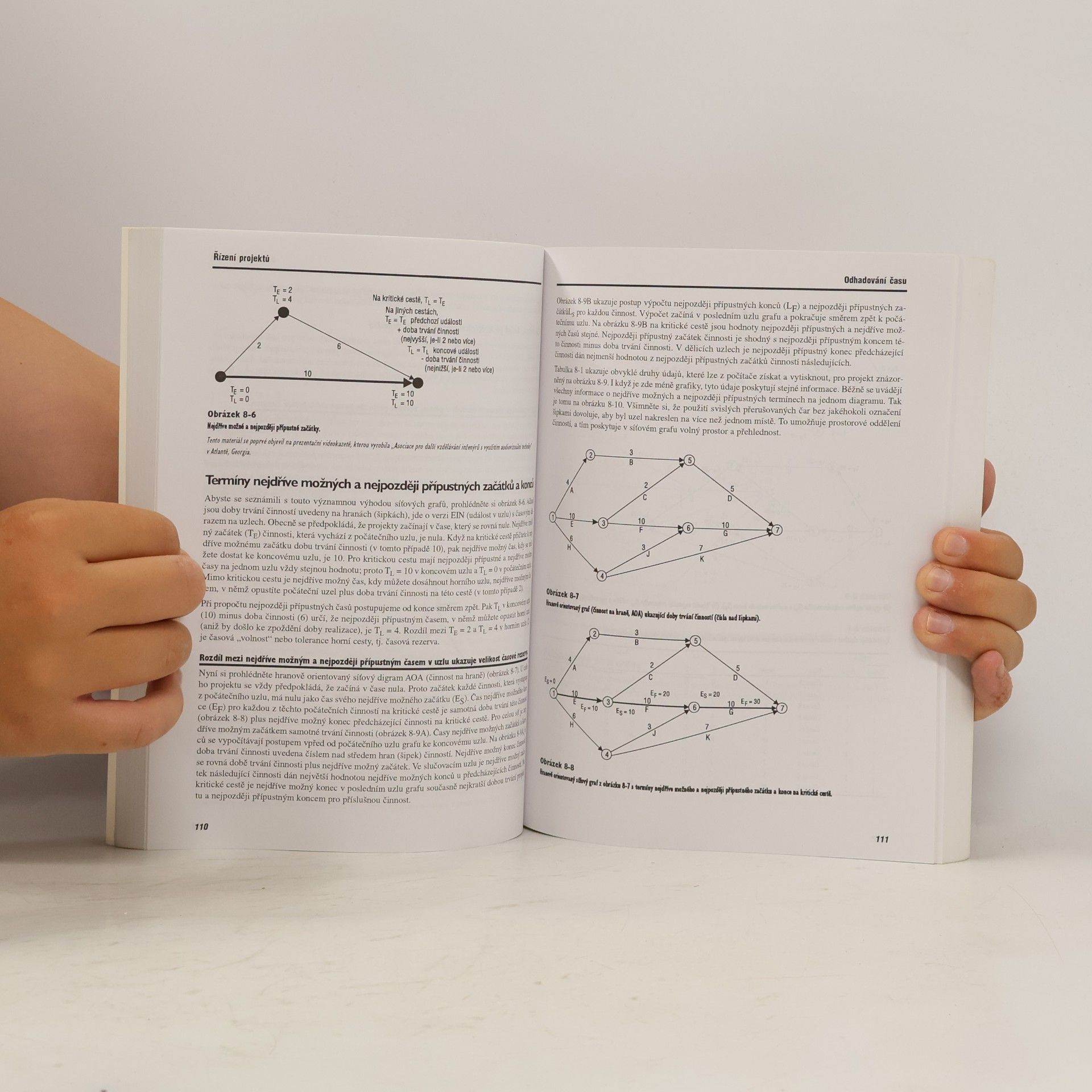 Milton D. Rosenau Řízení projektů