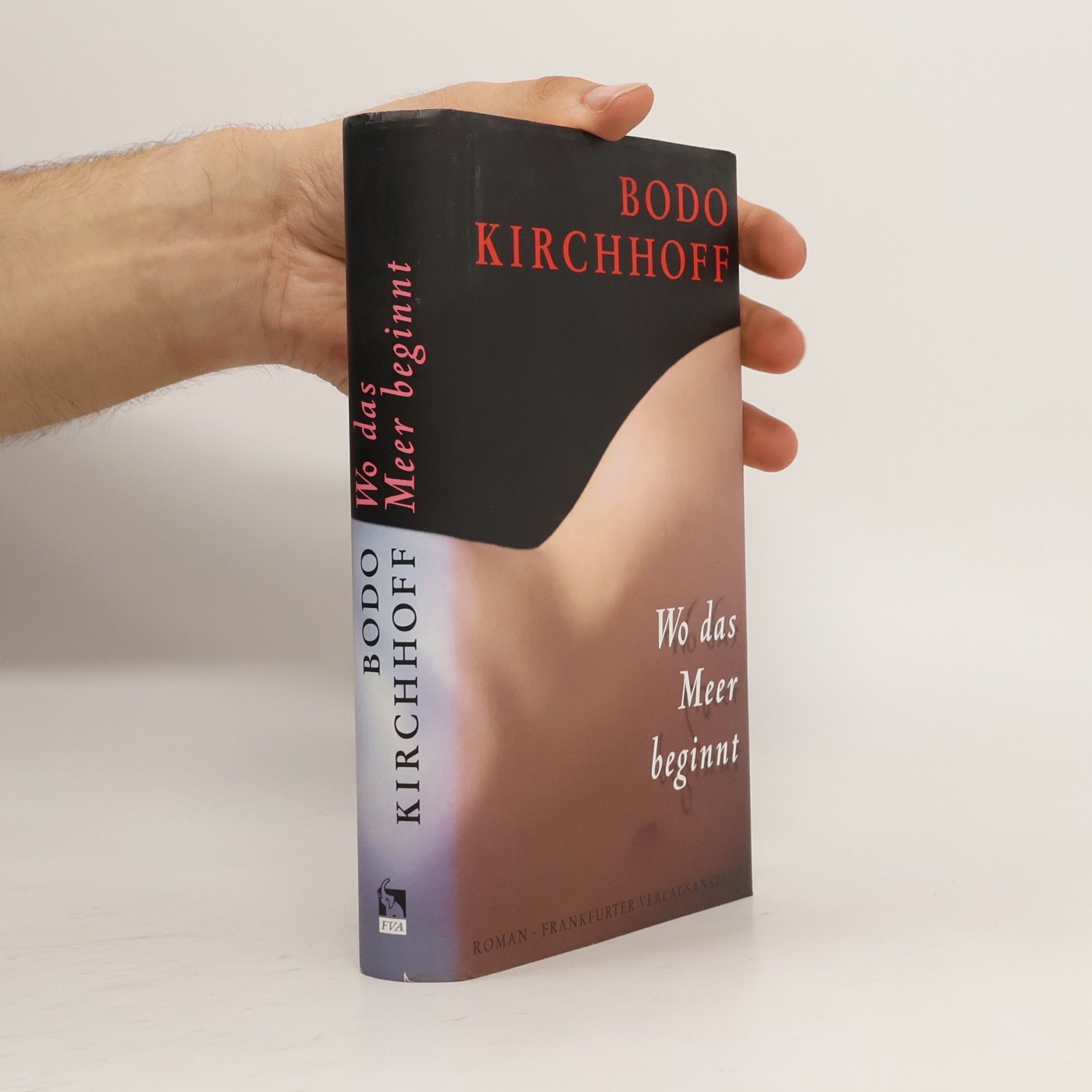 Bodo Kirchhoff Wo das Meer beginnt