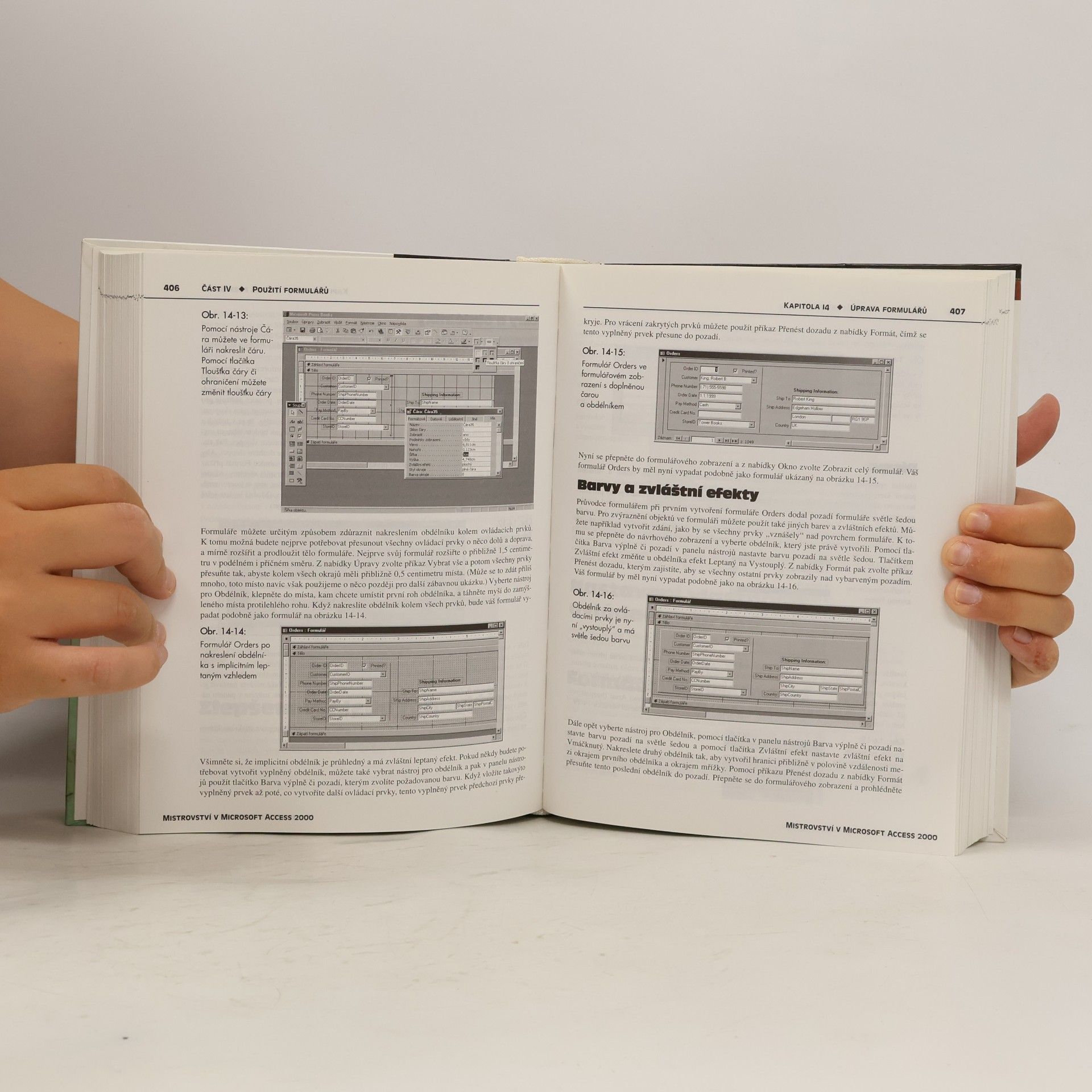 John Viescas Mistrovství v Microsoft Access 2000