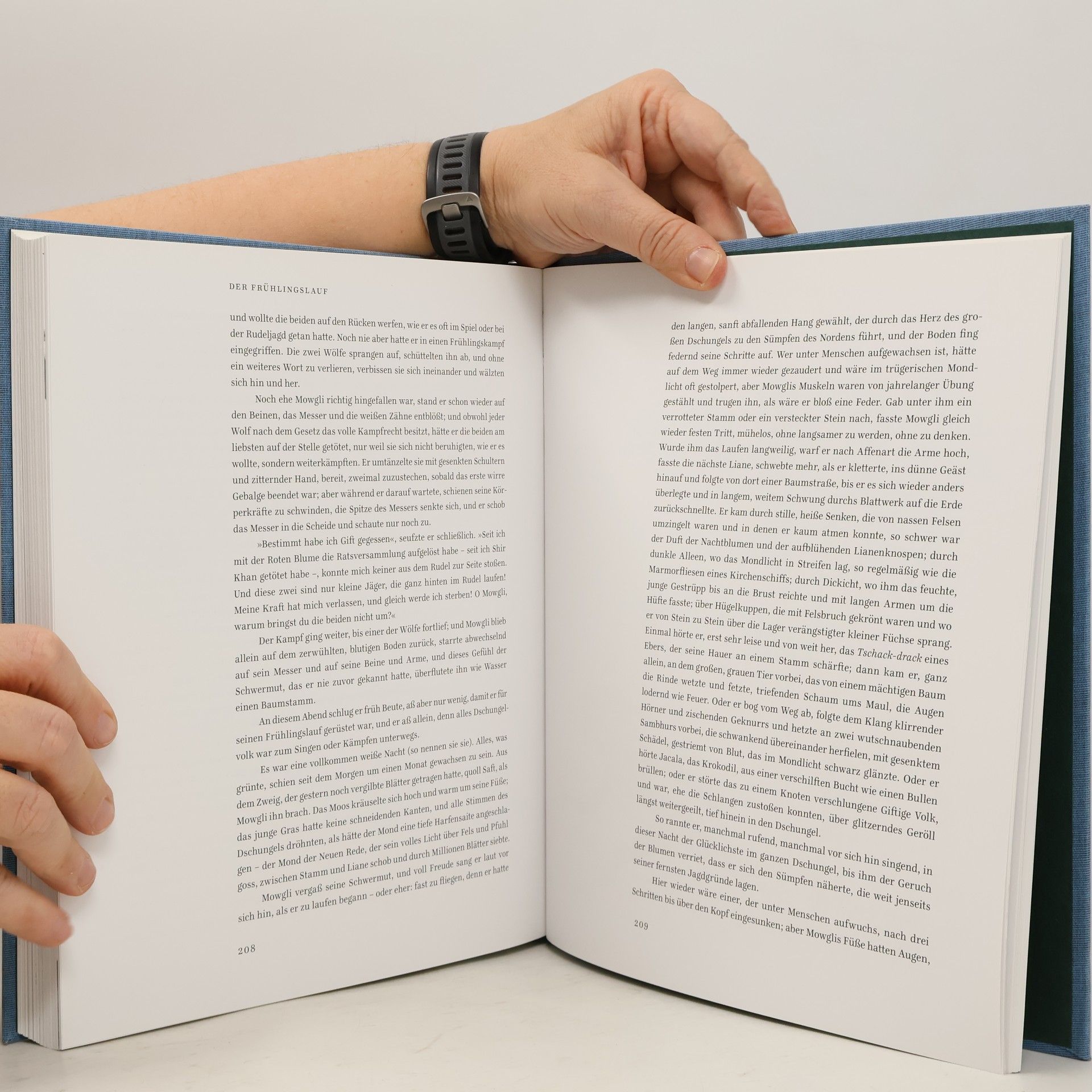 Rudyard Kipling Das Dschungelbuch