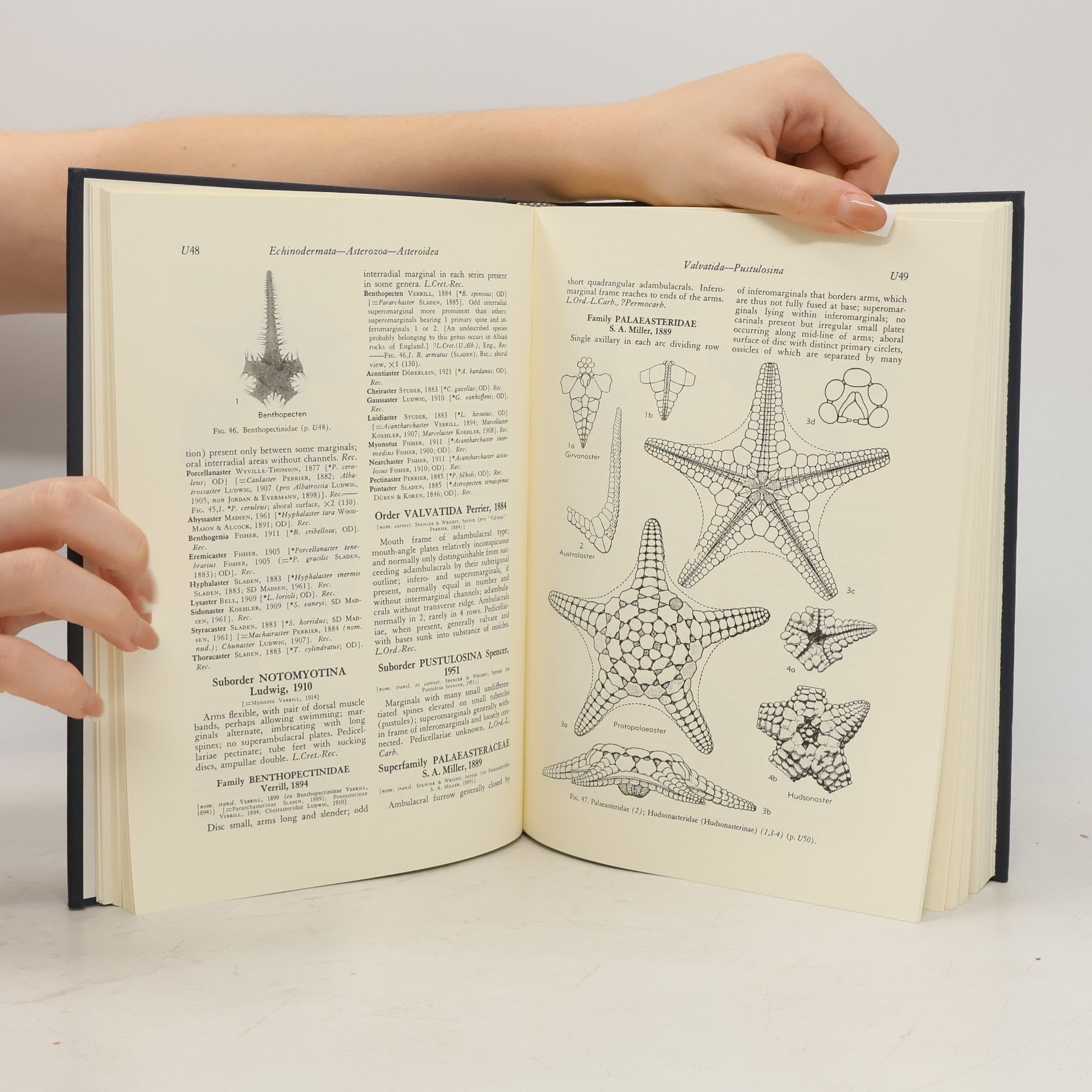 J. Wyatt Durham Treatise On Invertebrate Paleontology - 3(1): Echinodermata