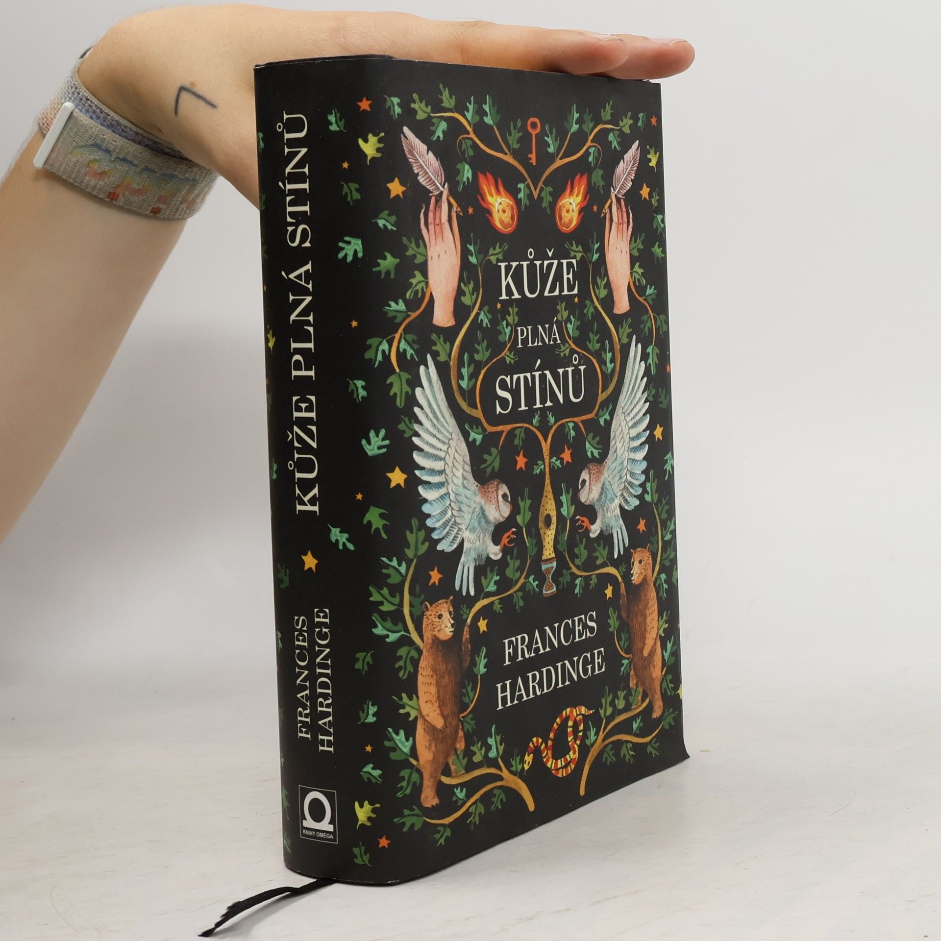 Frances Hardinge Kůže plná stínů