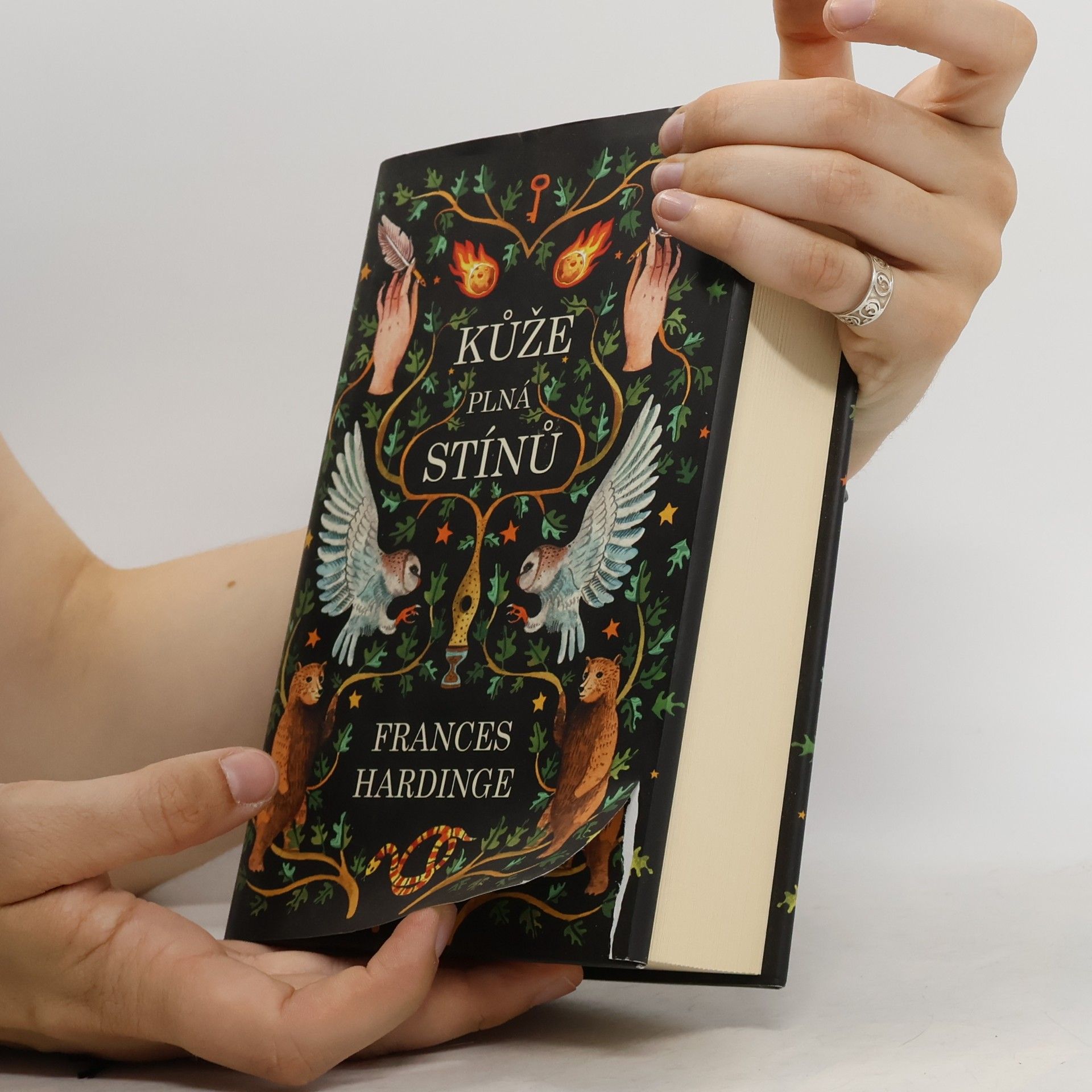 Frances Hardinge Kůže plná stínů