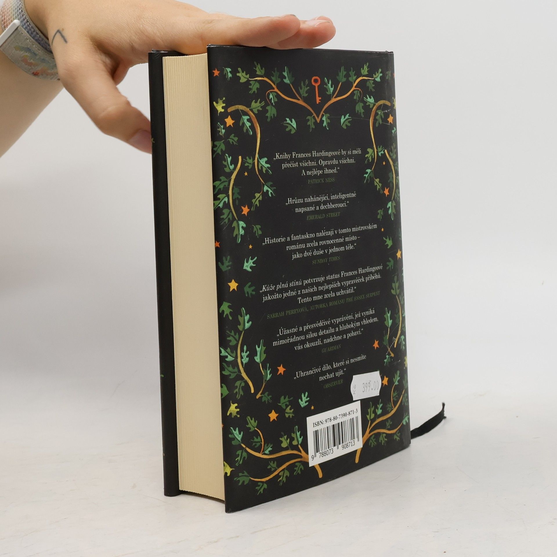 Frances Hardinge Kůže plná stínů