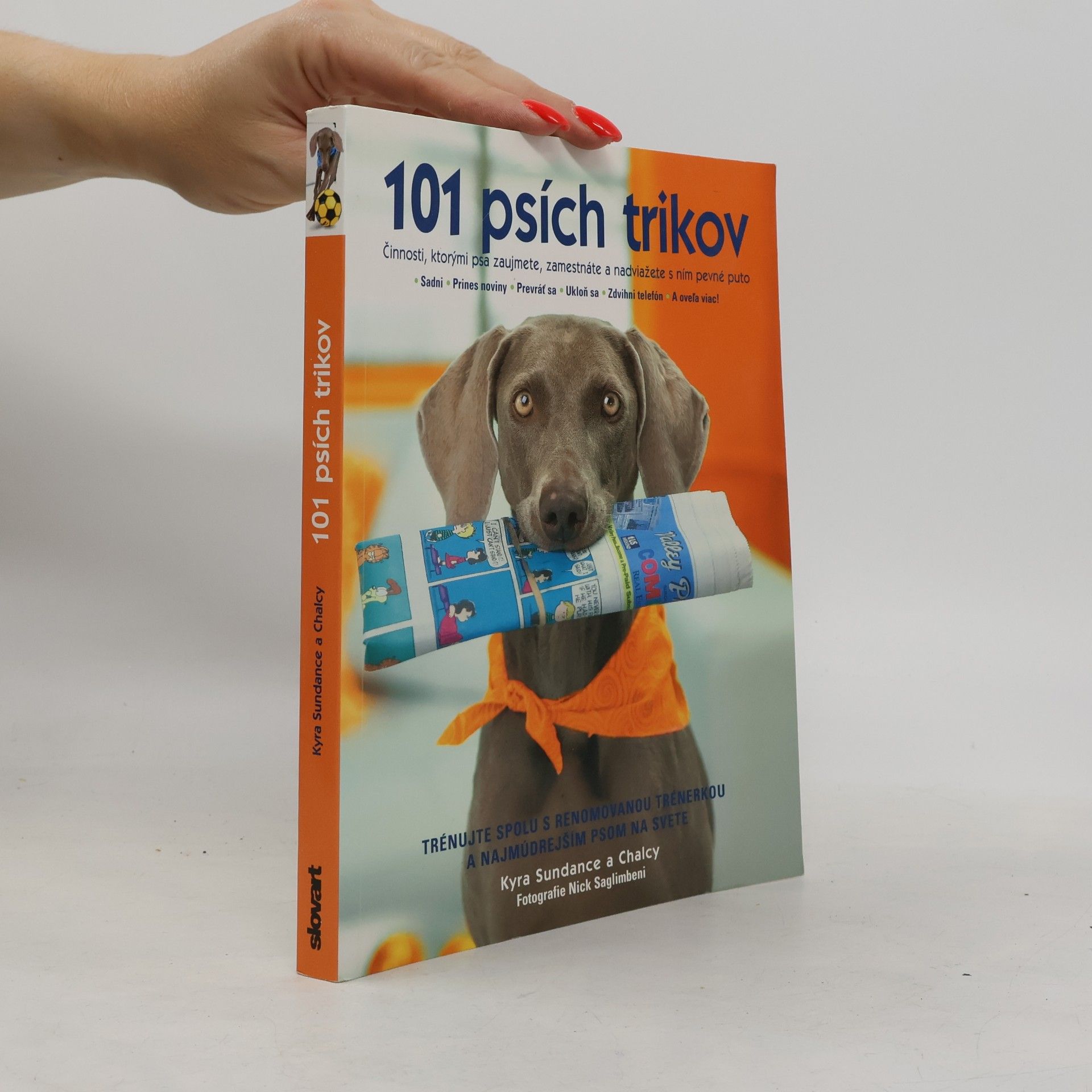Kyra Sundance 101 psích trikov