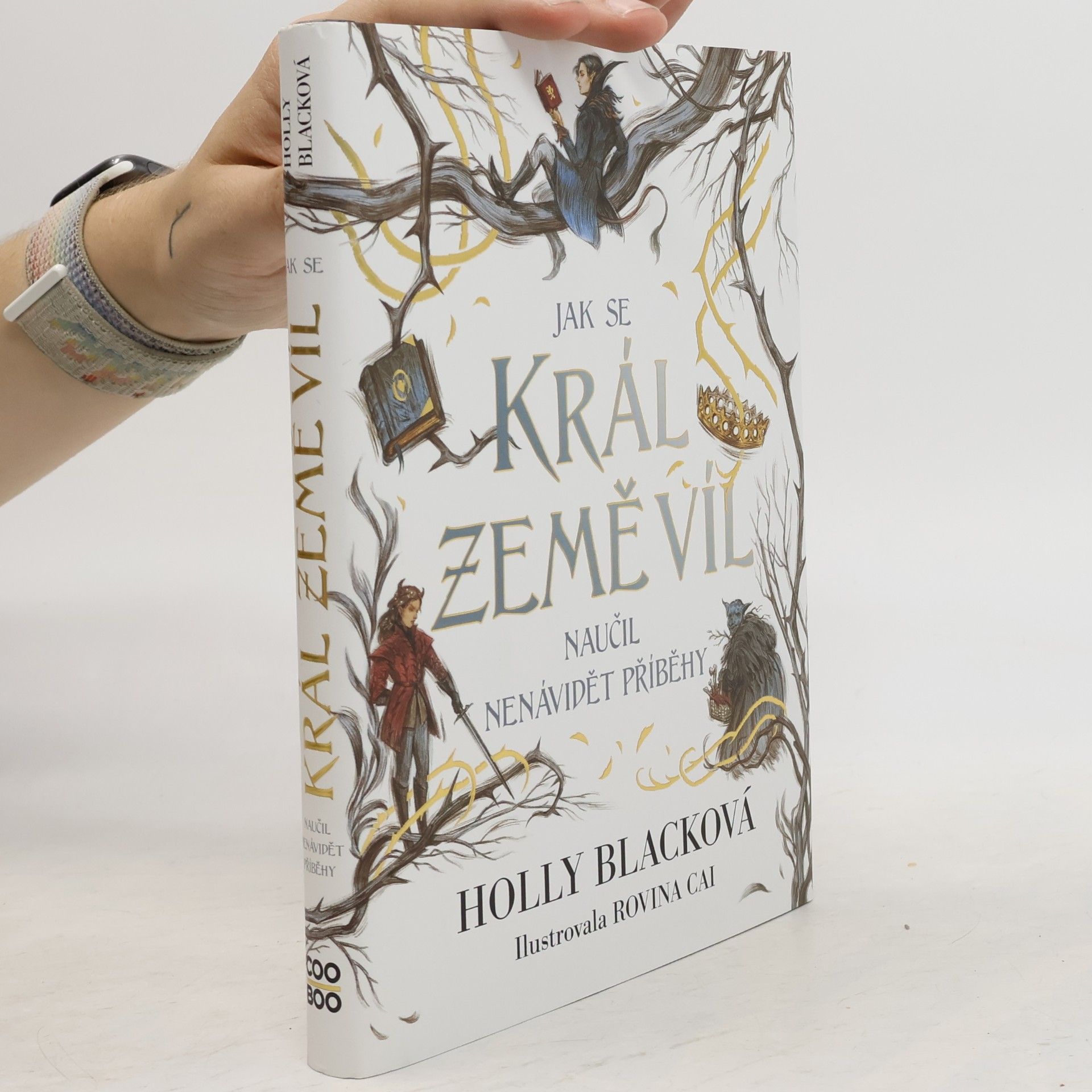 Holly Black Jak se král Země víl naučil nenávidět příběhy