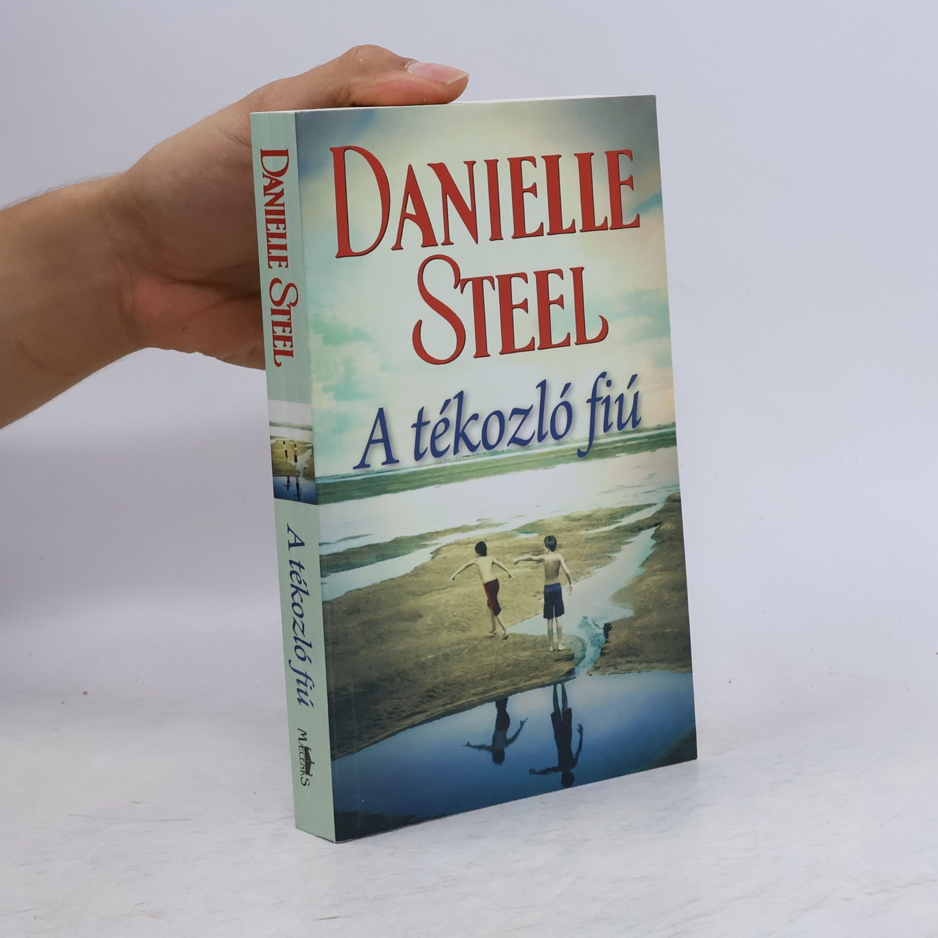 Danielle Steel A tékozló fiú