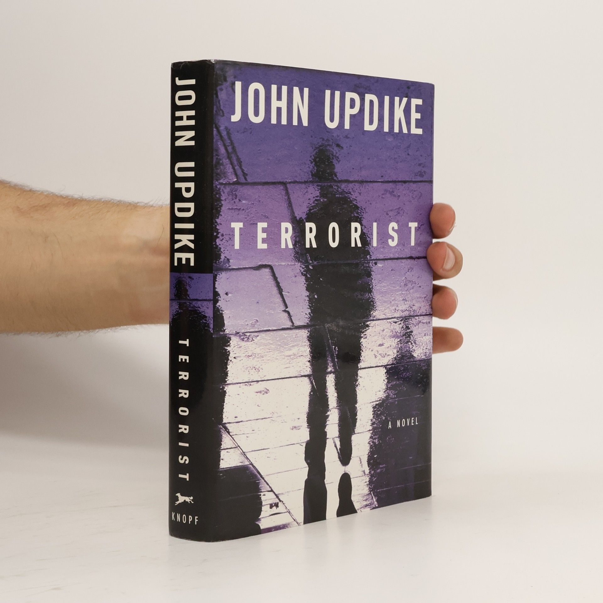 John Updike Terrorist
