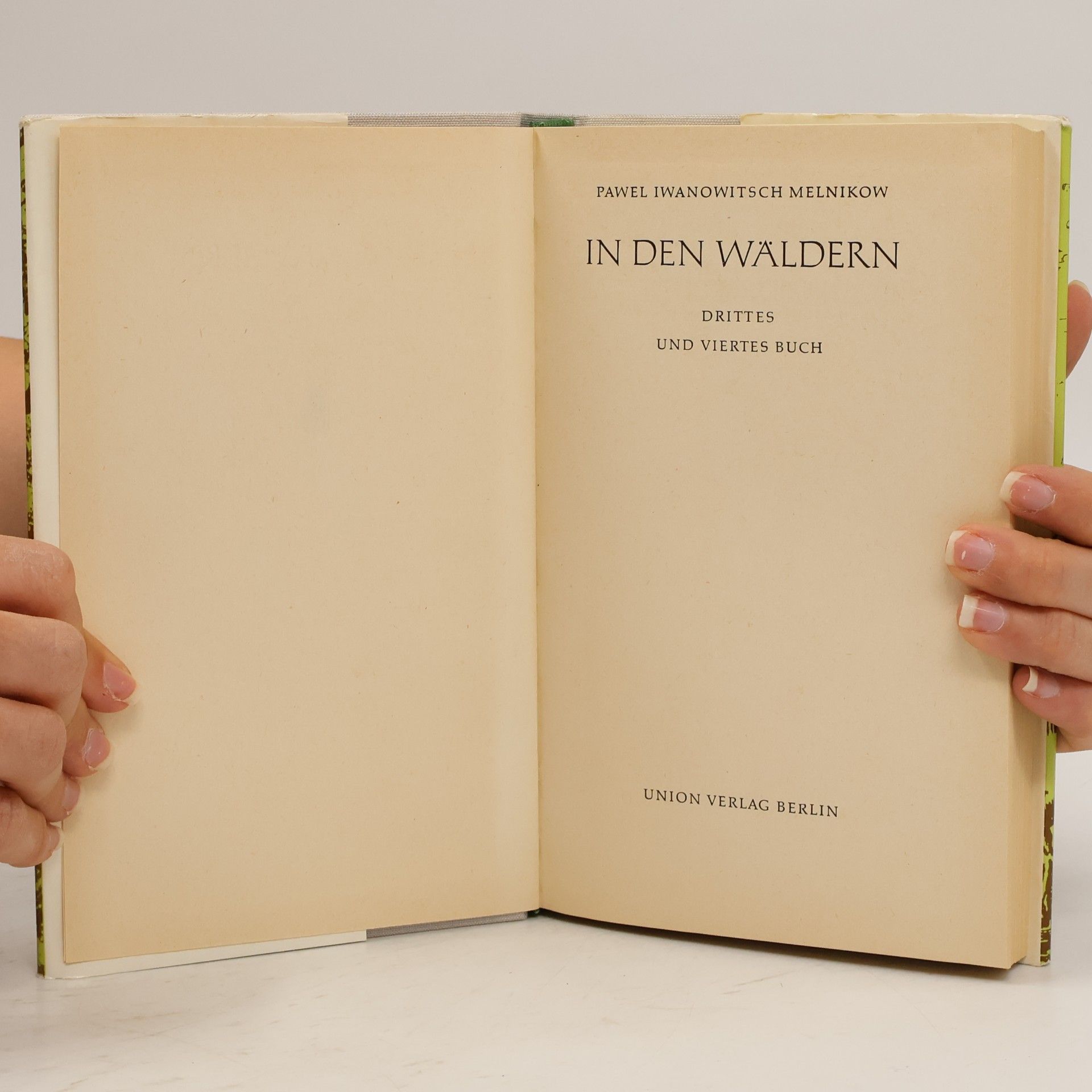 Pavel Ivanovič Melnikov In den Wäldern