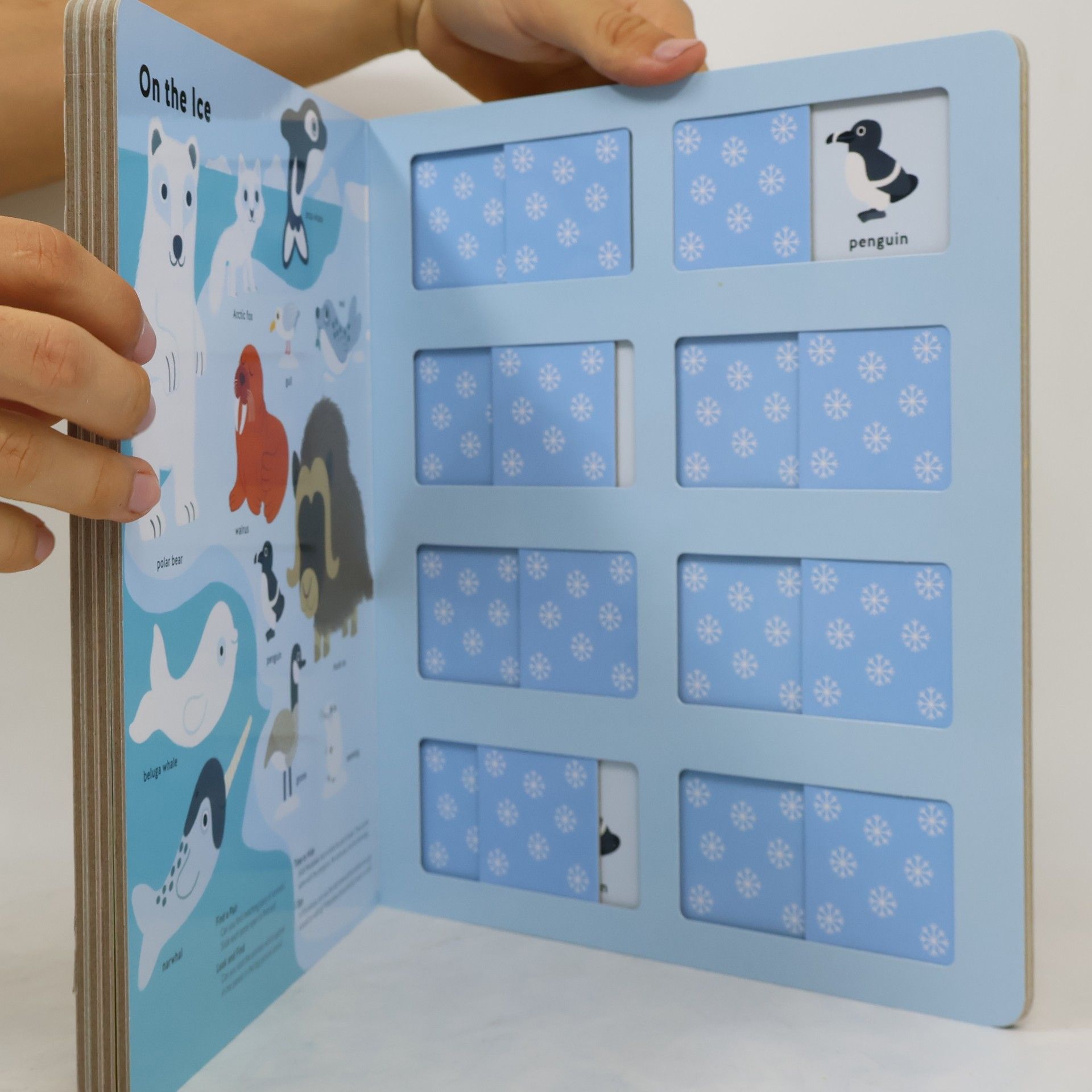 Stéphanie Babin Animals Matching Game Book