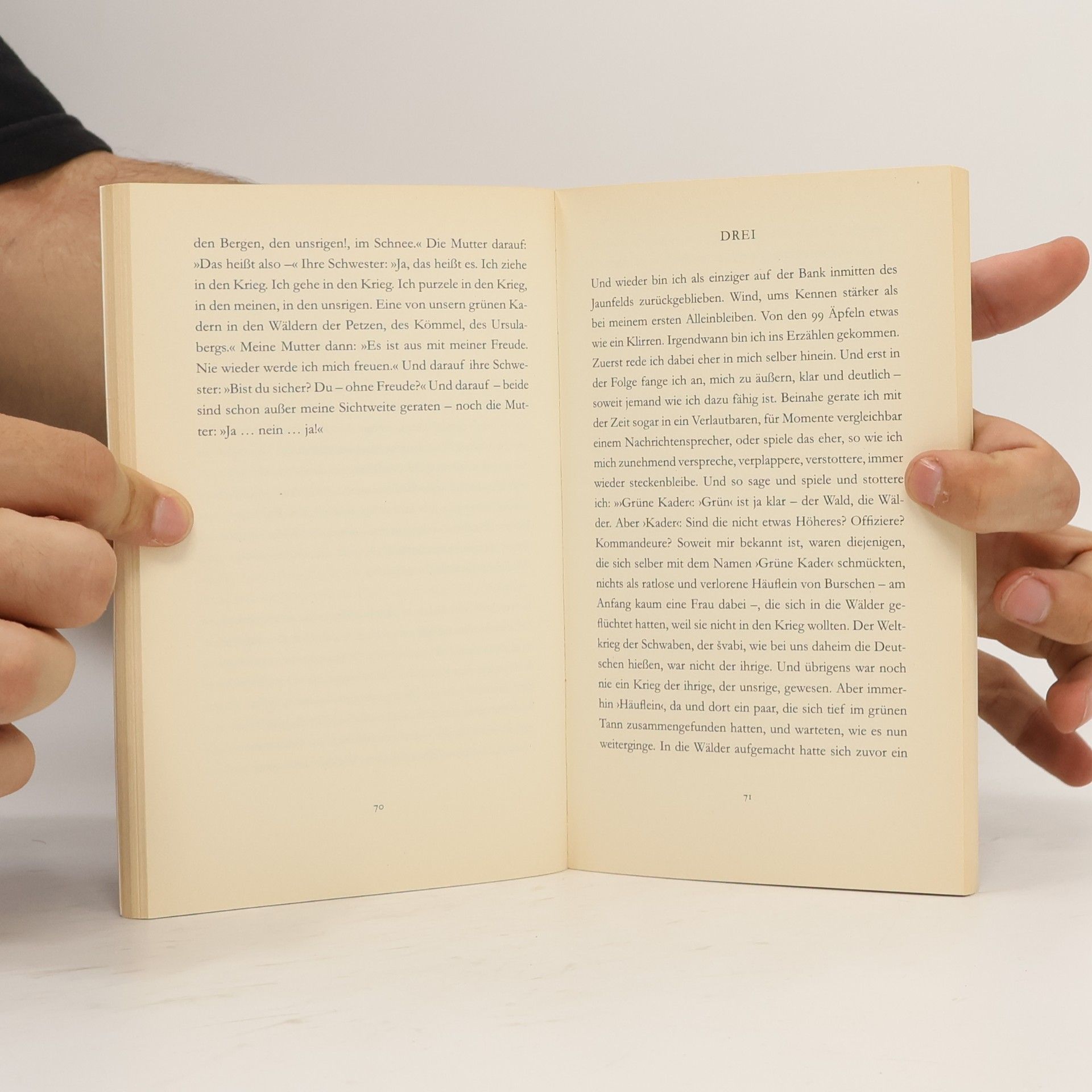 Peter Handke Immer noch Sturm