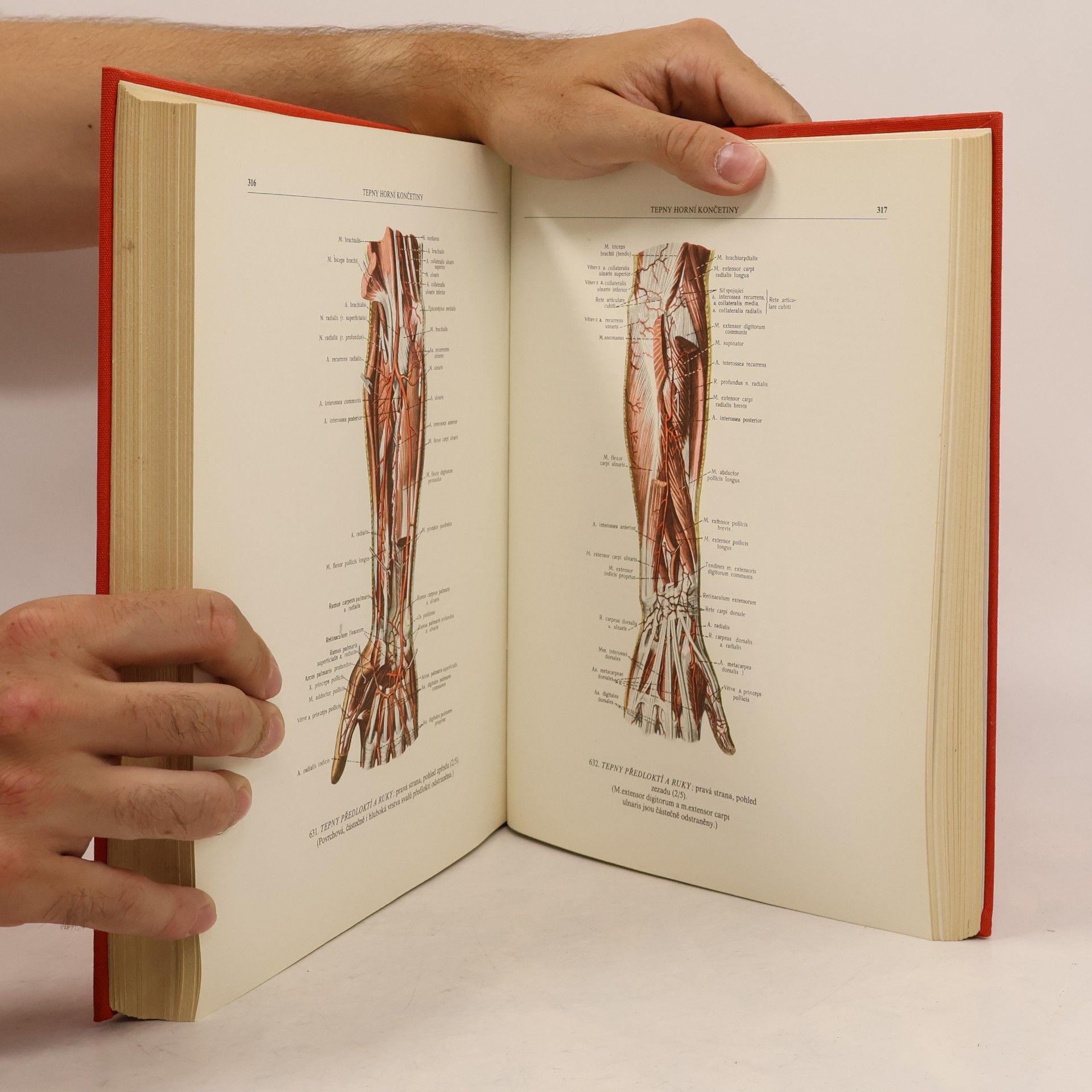 R. D. Sinělnikov Atlas anatomie člověka II.