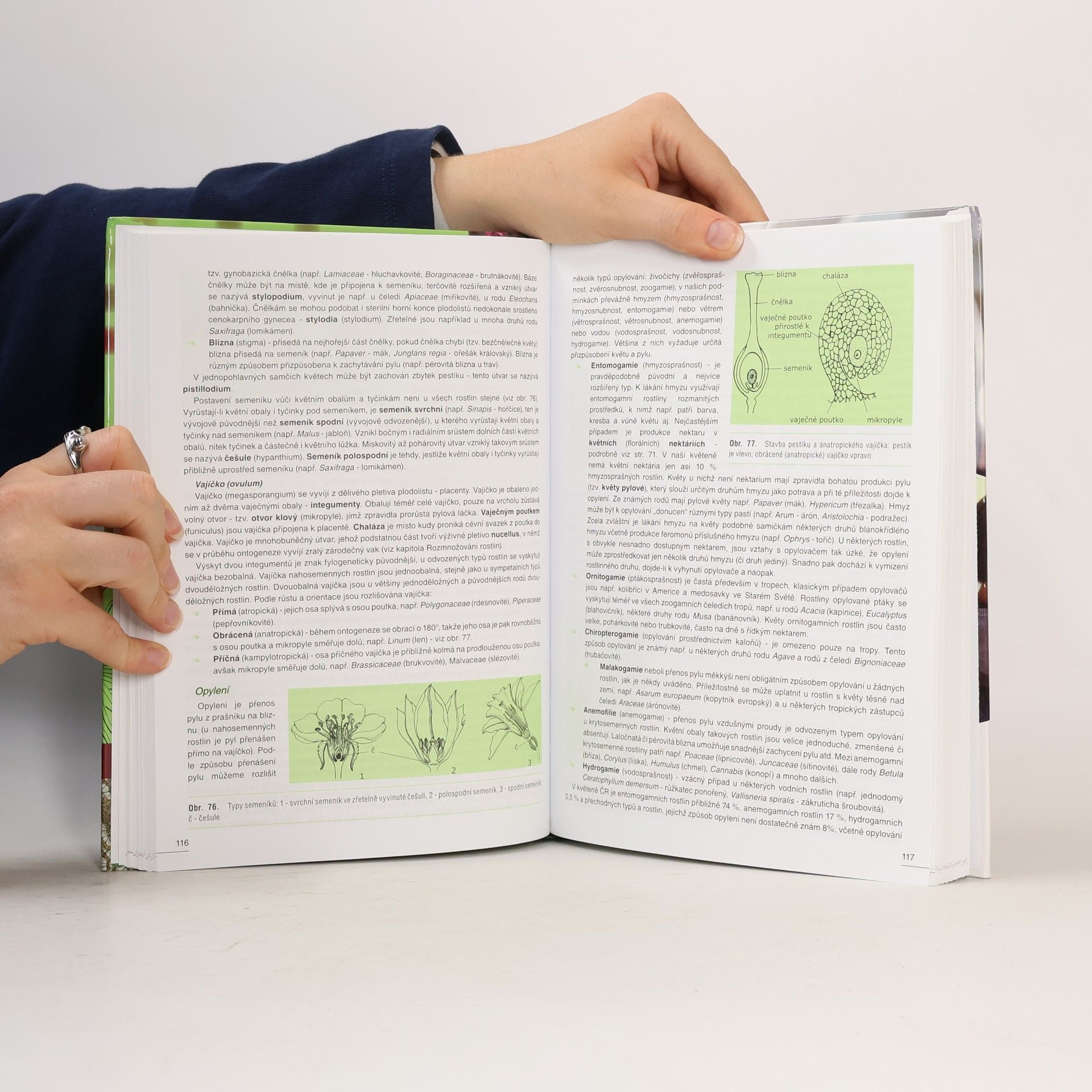 Adam Novák Botanika. Cytologie, histologie, organologie a systematika