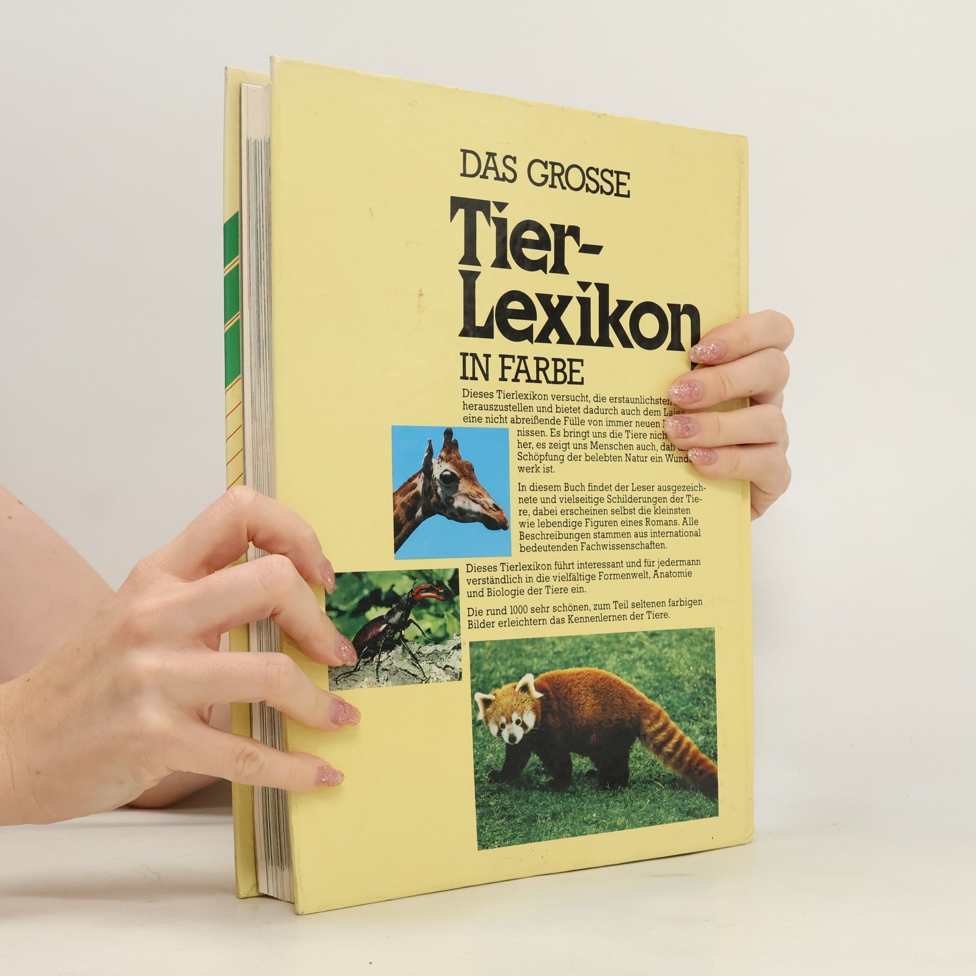 Maurice Burton Tier-Lexikon in Farbe