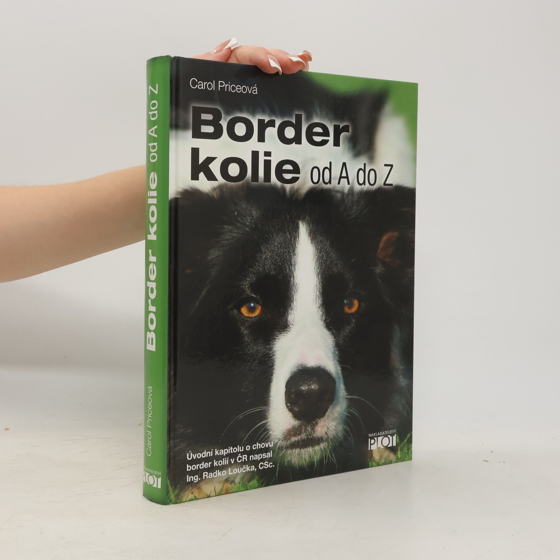 Carol Price Border kolie od A do Z
