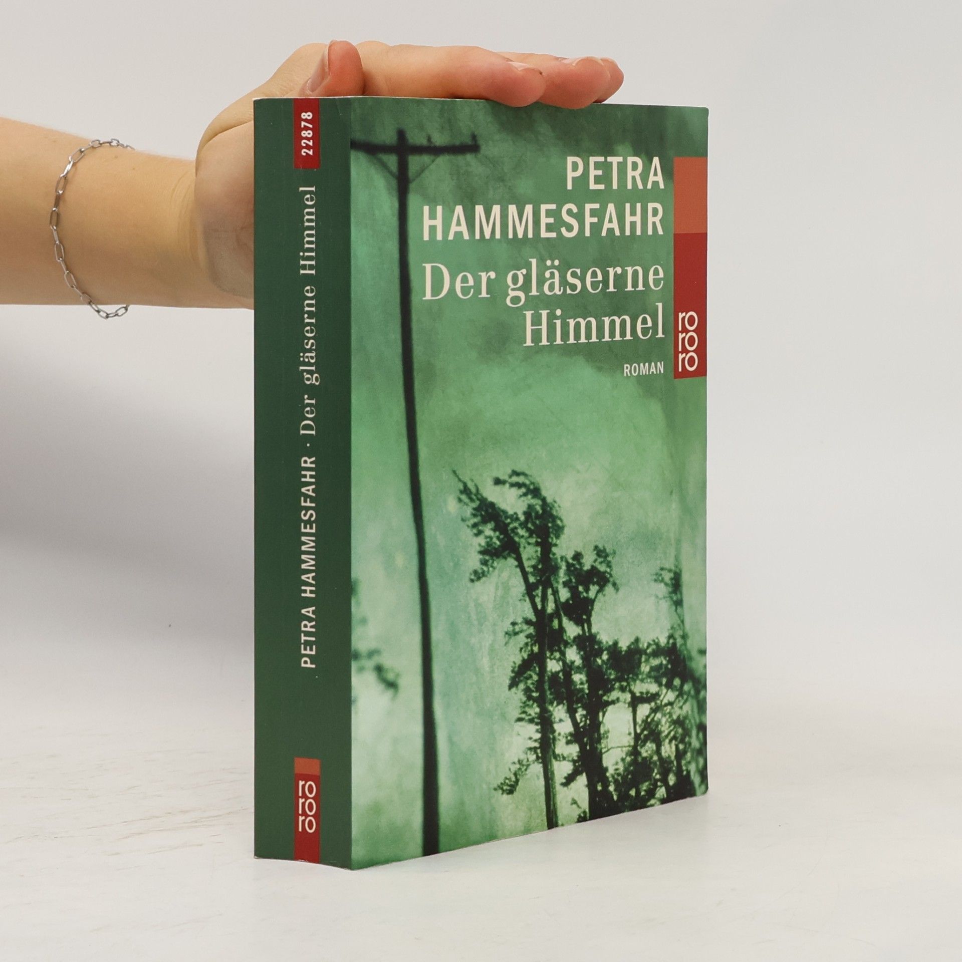 Petra Hammesfahr Der gläserne Himmel