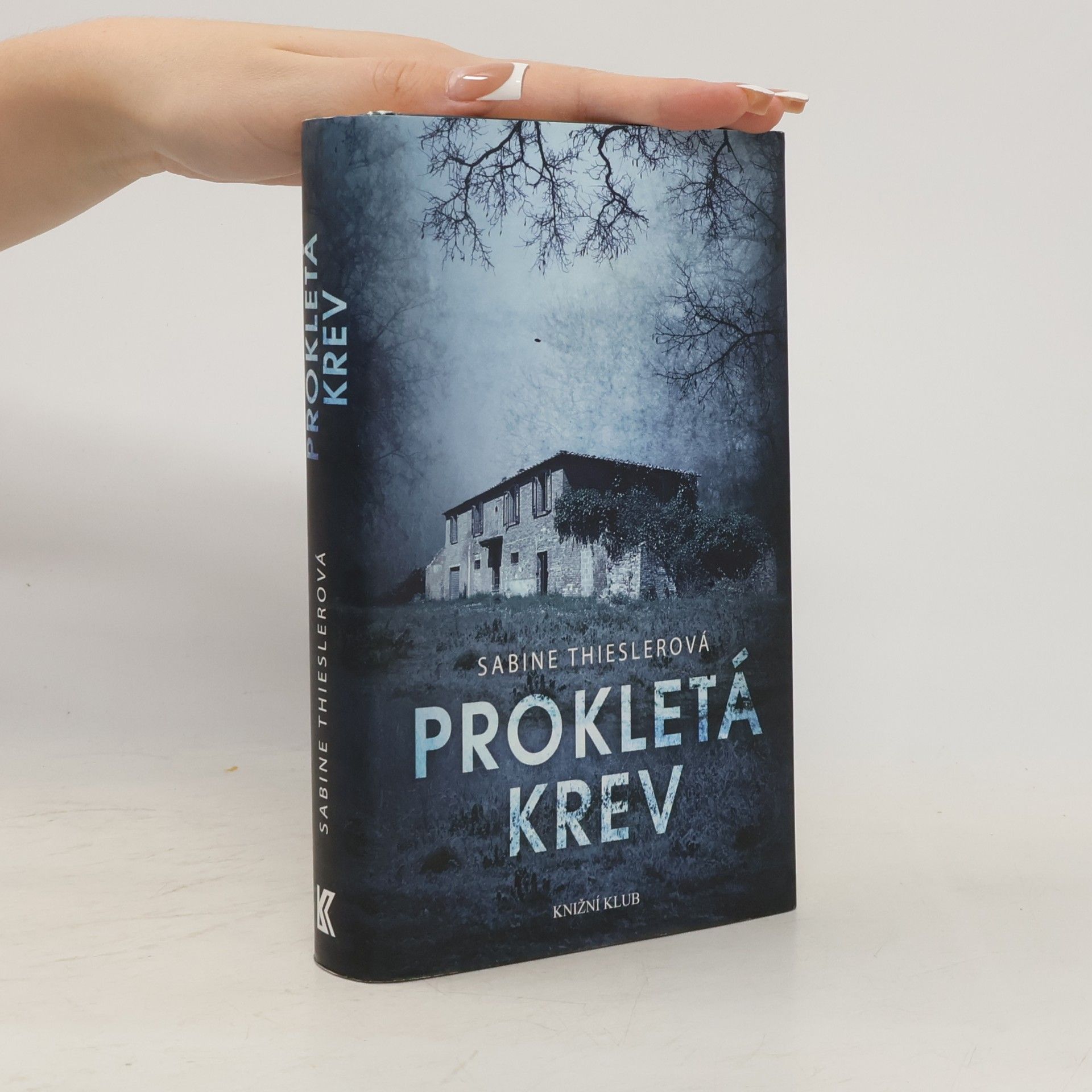 Sabine Thiesler Prokletá krev